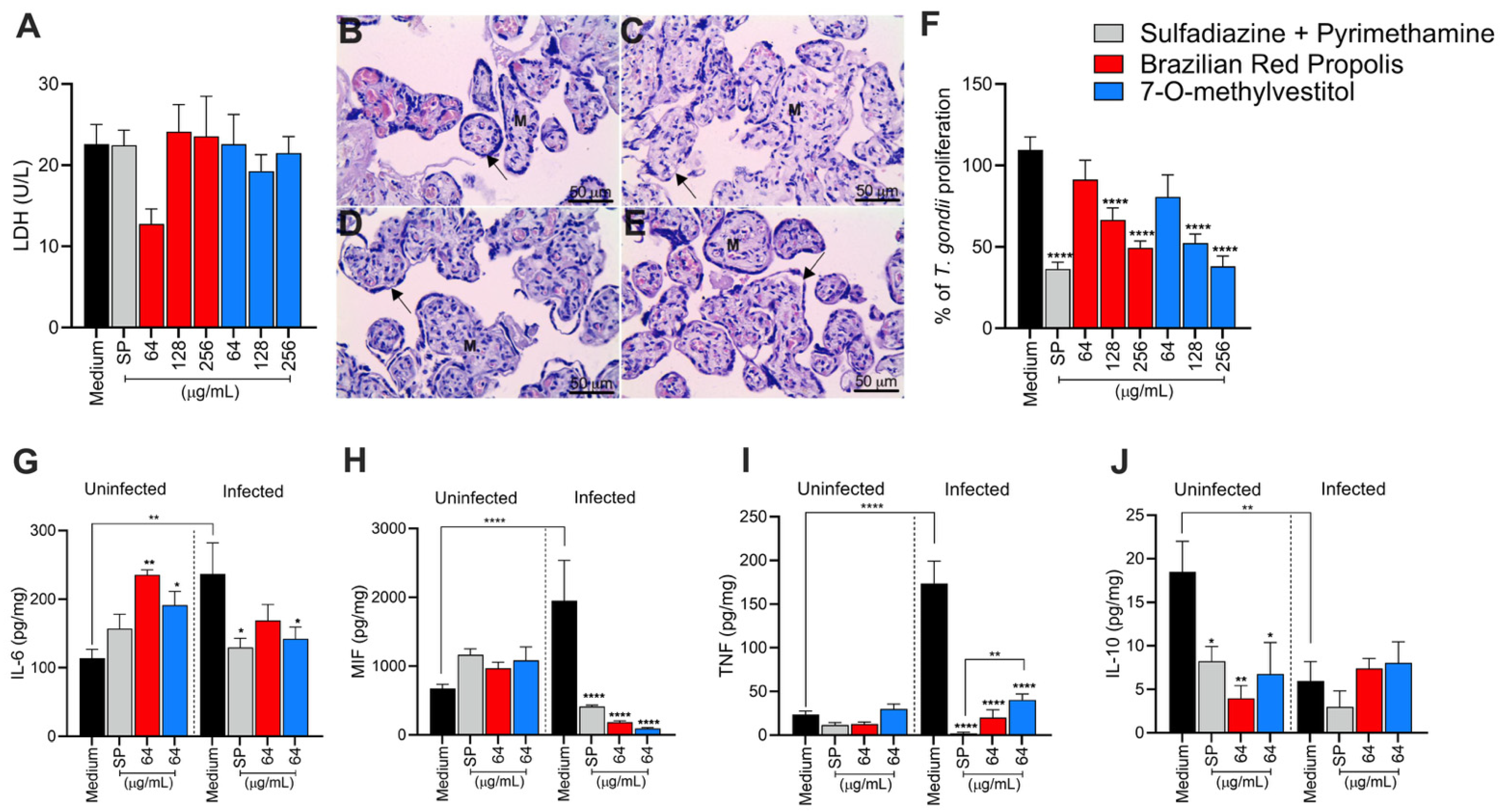Microorganisms 13 01937 g005