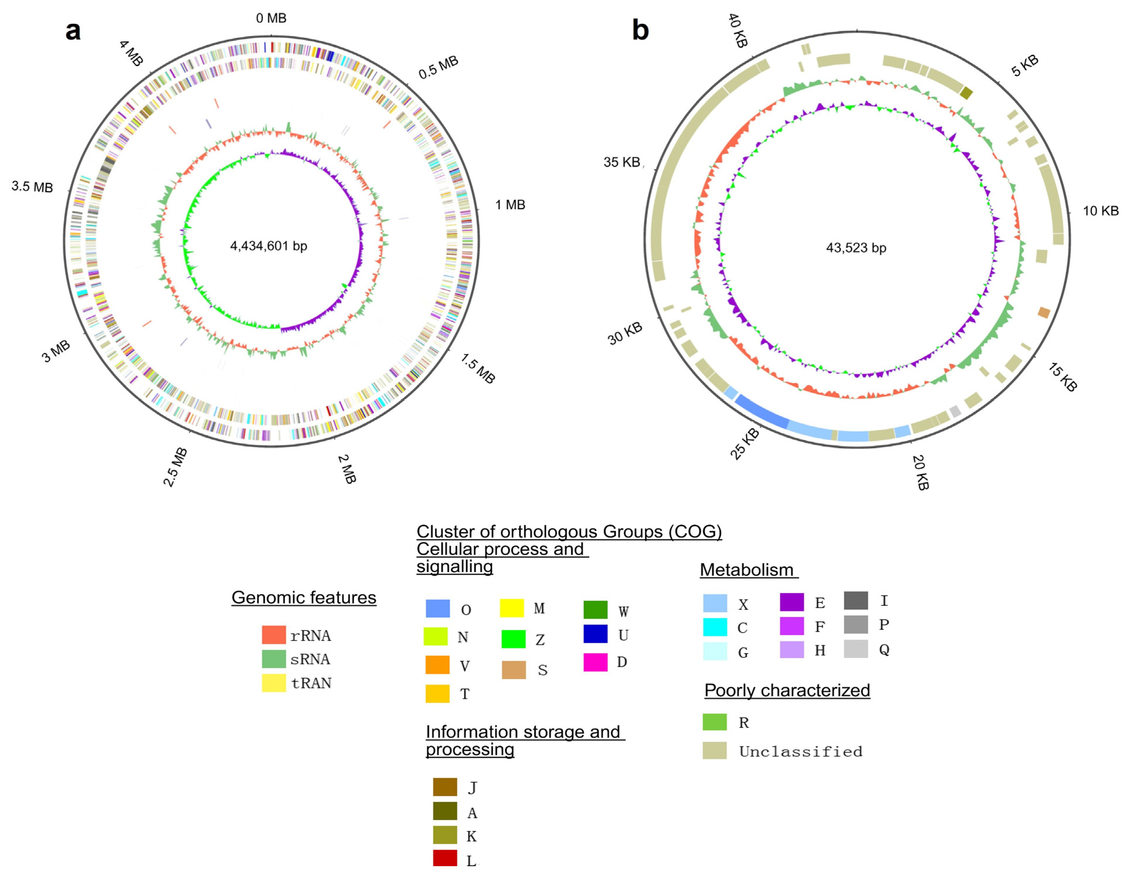 Microorganisms 13 01940 g001