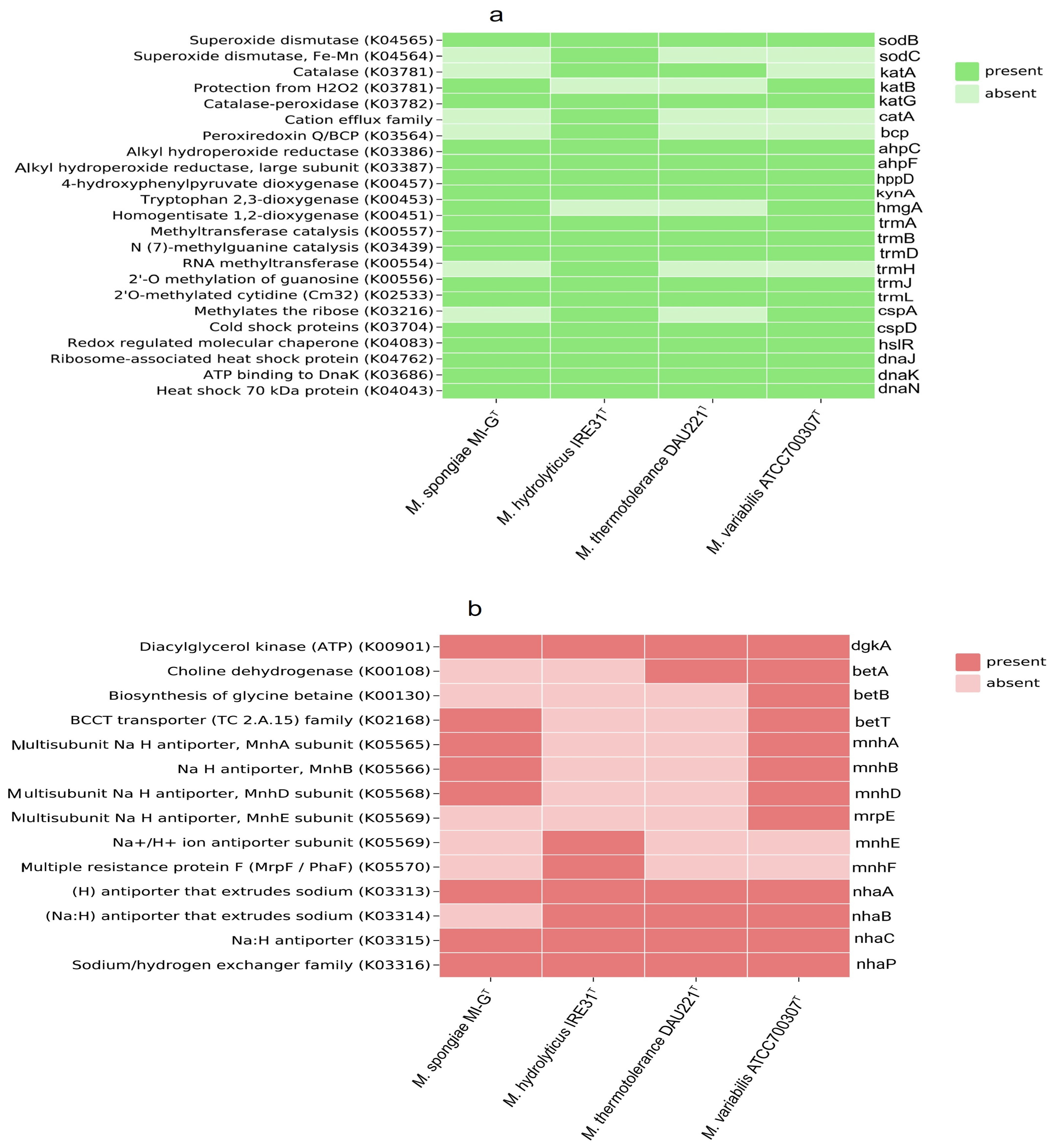 Microorganisms 13 01940 g004a