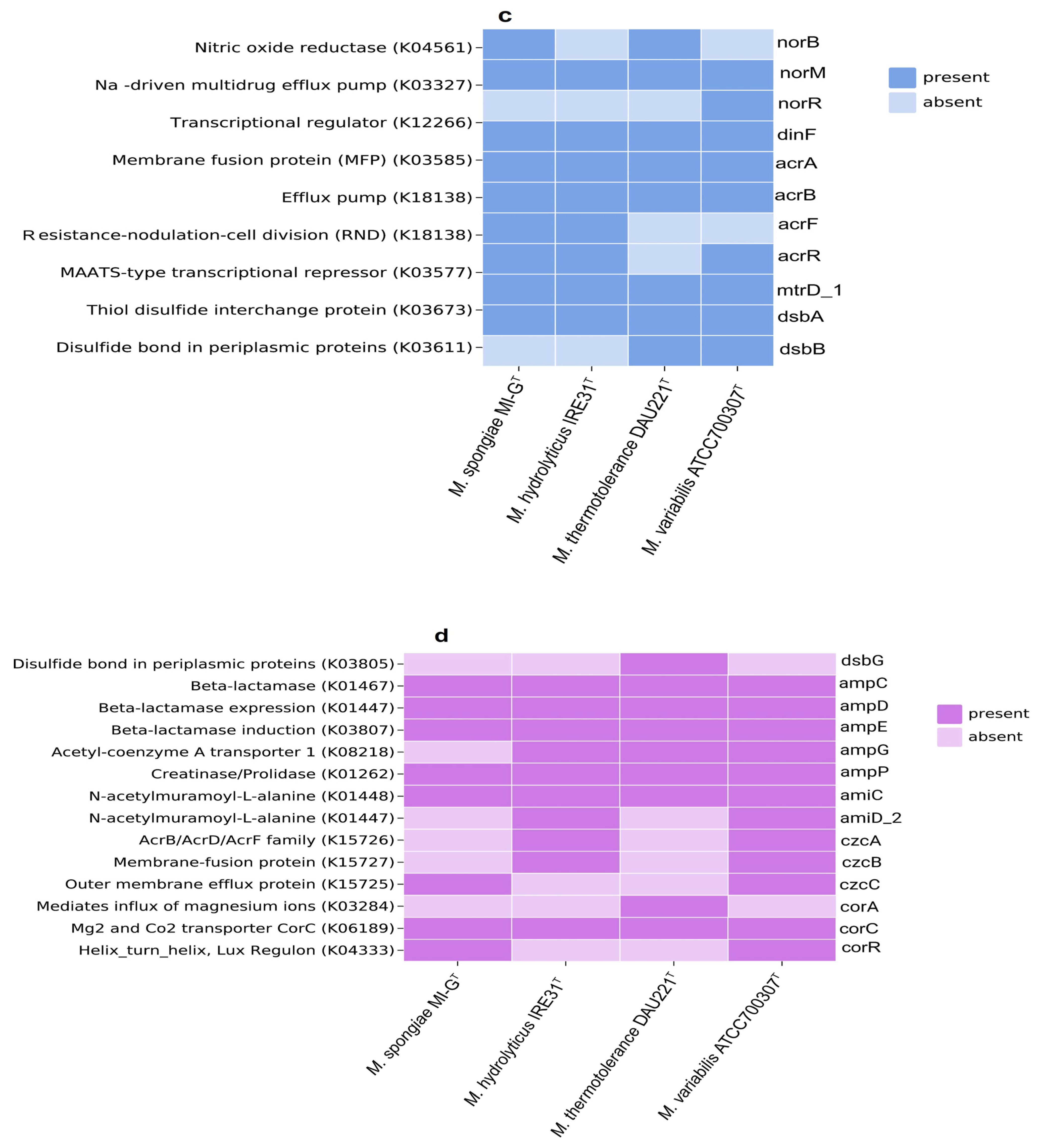 Microorganisms 13 01940 g004b