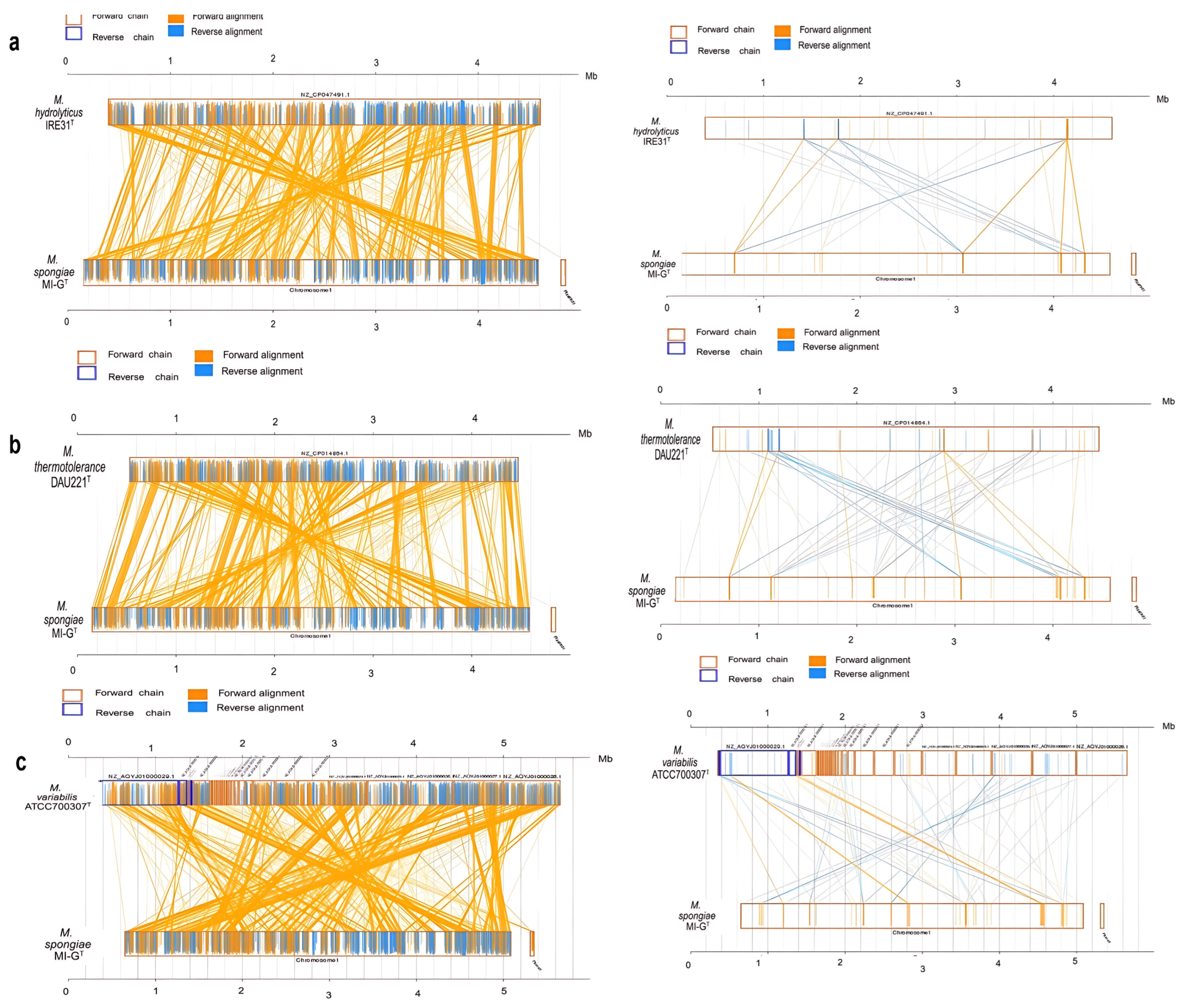 Microorganisms 13 01940 g006