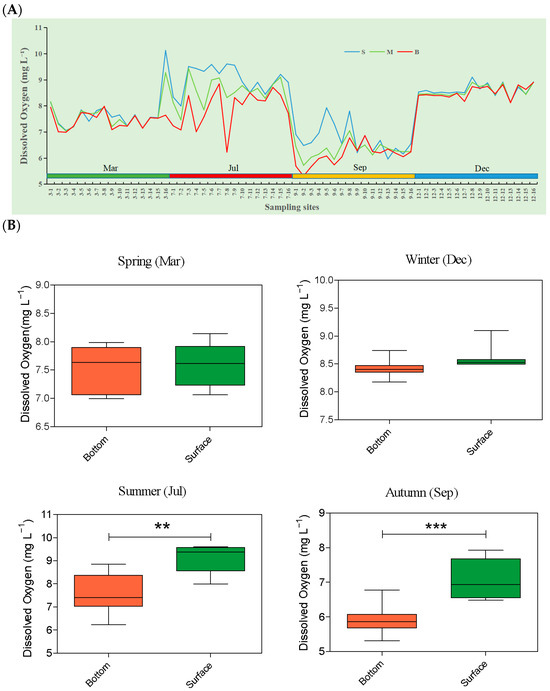 Dissolved Oxygen Decline in Northern Beibu Gulf Summer Bottom