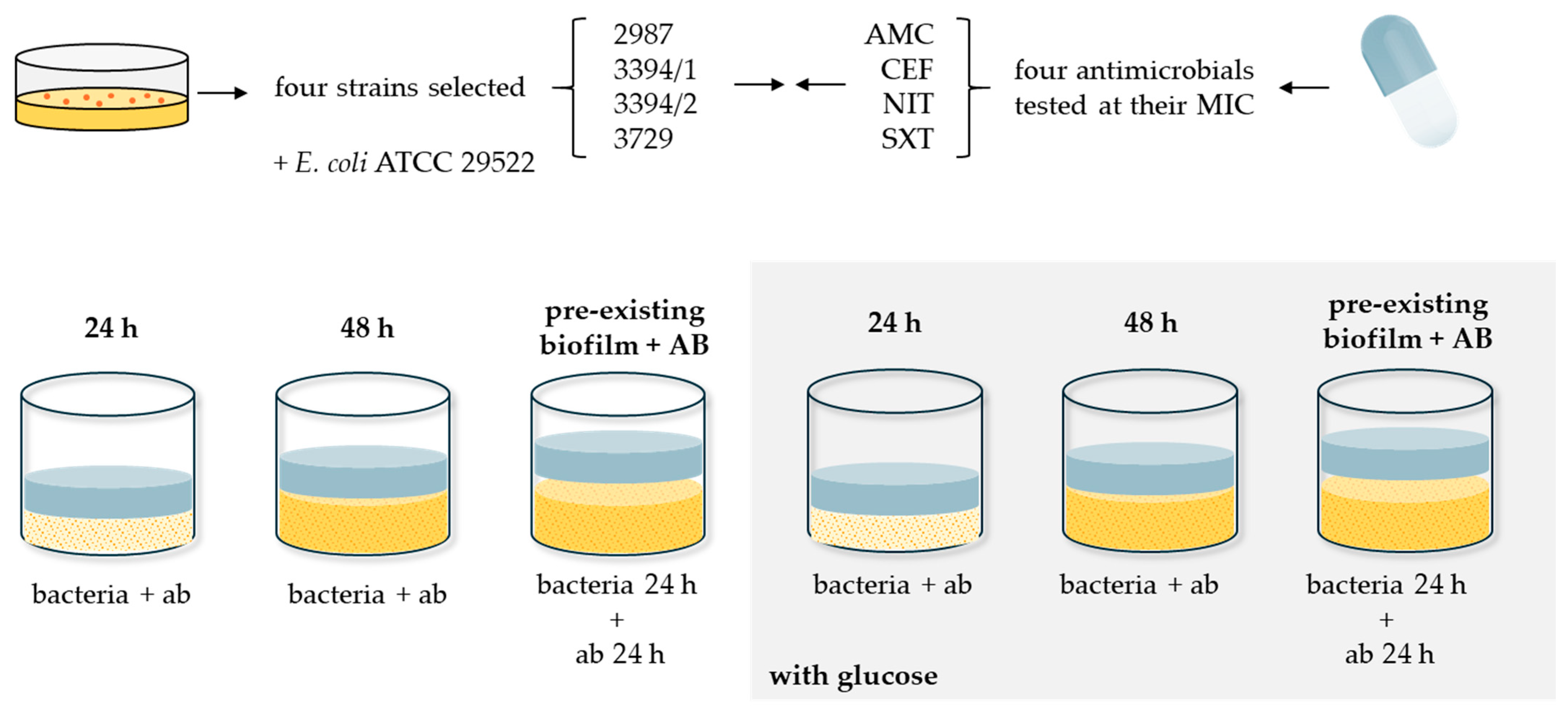 Microorganisms 13 01946 g001 Microorganisms 13 01946 g001