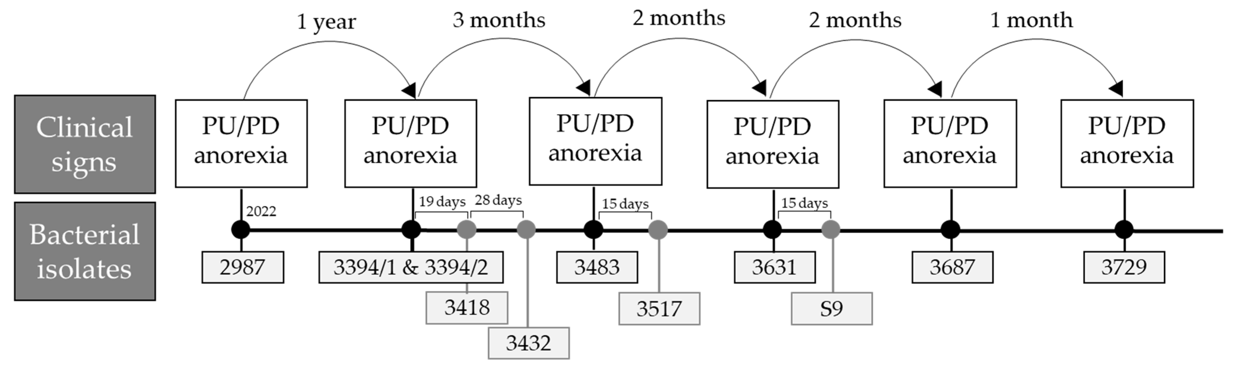 Microorganisms 13 01946 g002 Microorganisms 13 01946 g002
