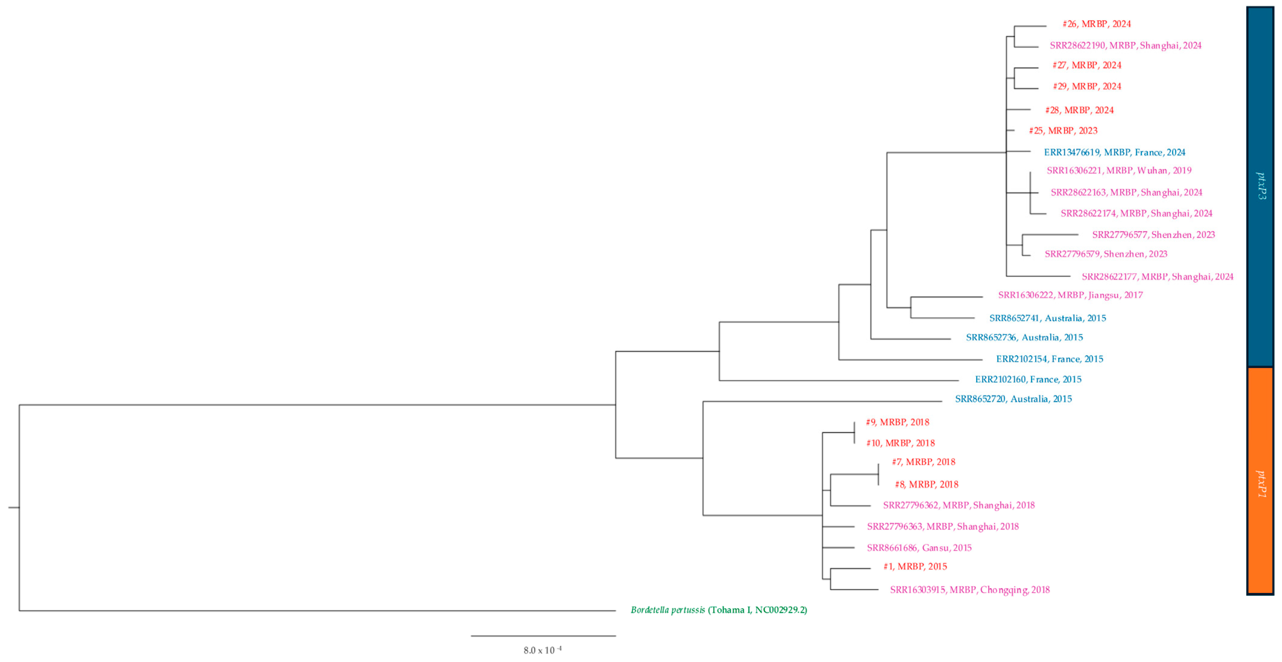Microorganisms 13 01947 g003 Microorganisms 13 01947 g003