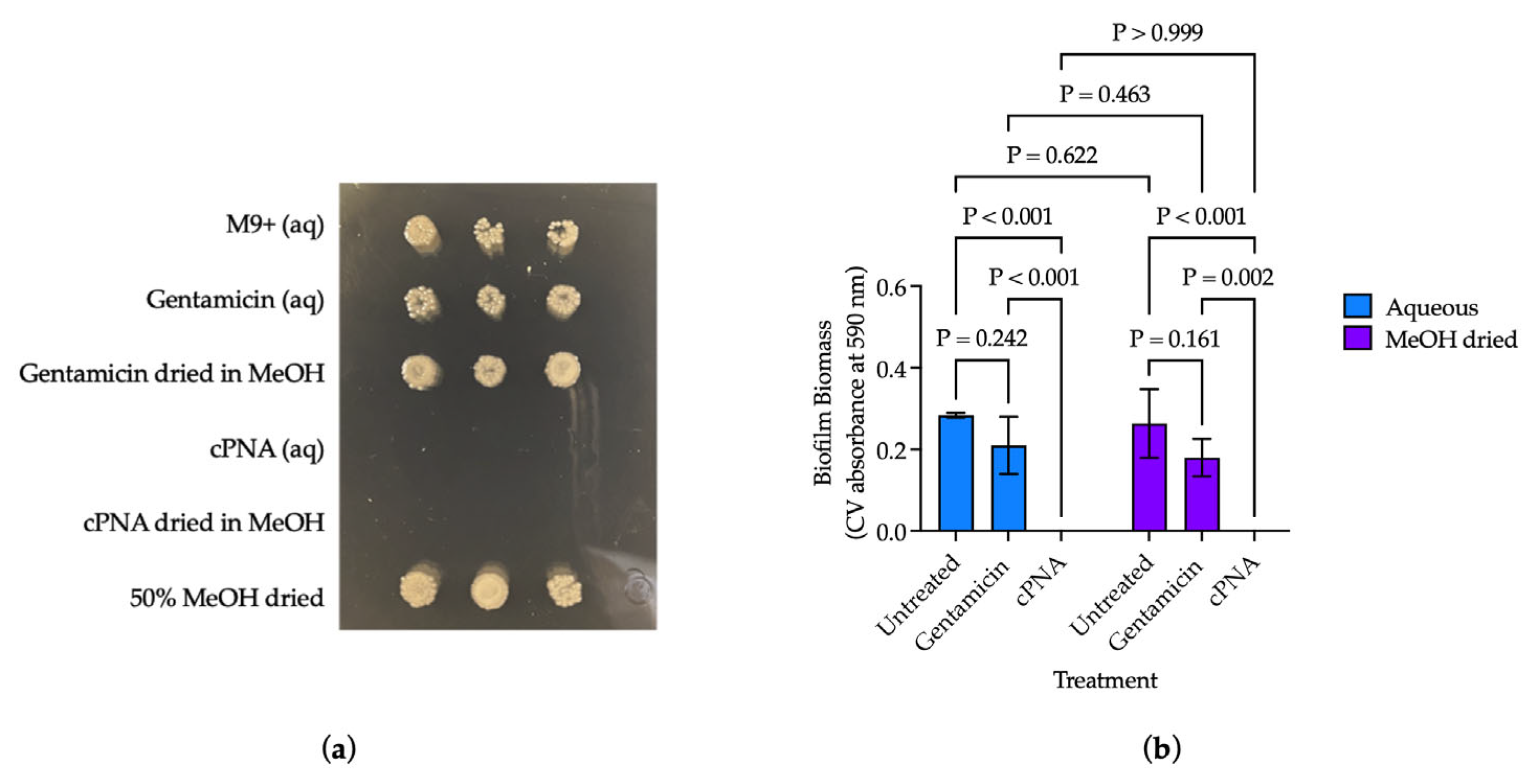 Microorganisms 13 01948 g004 Microorganisms 13 01948 g004
