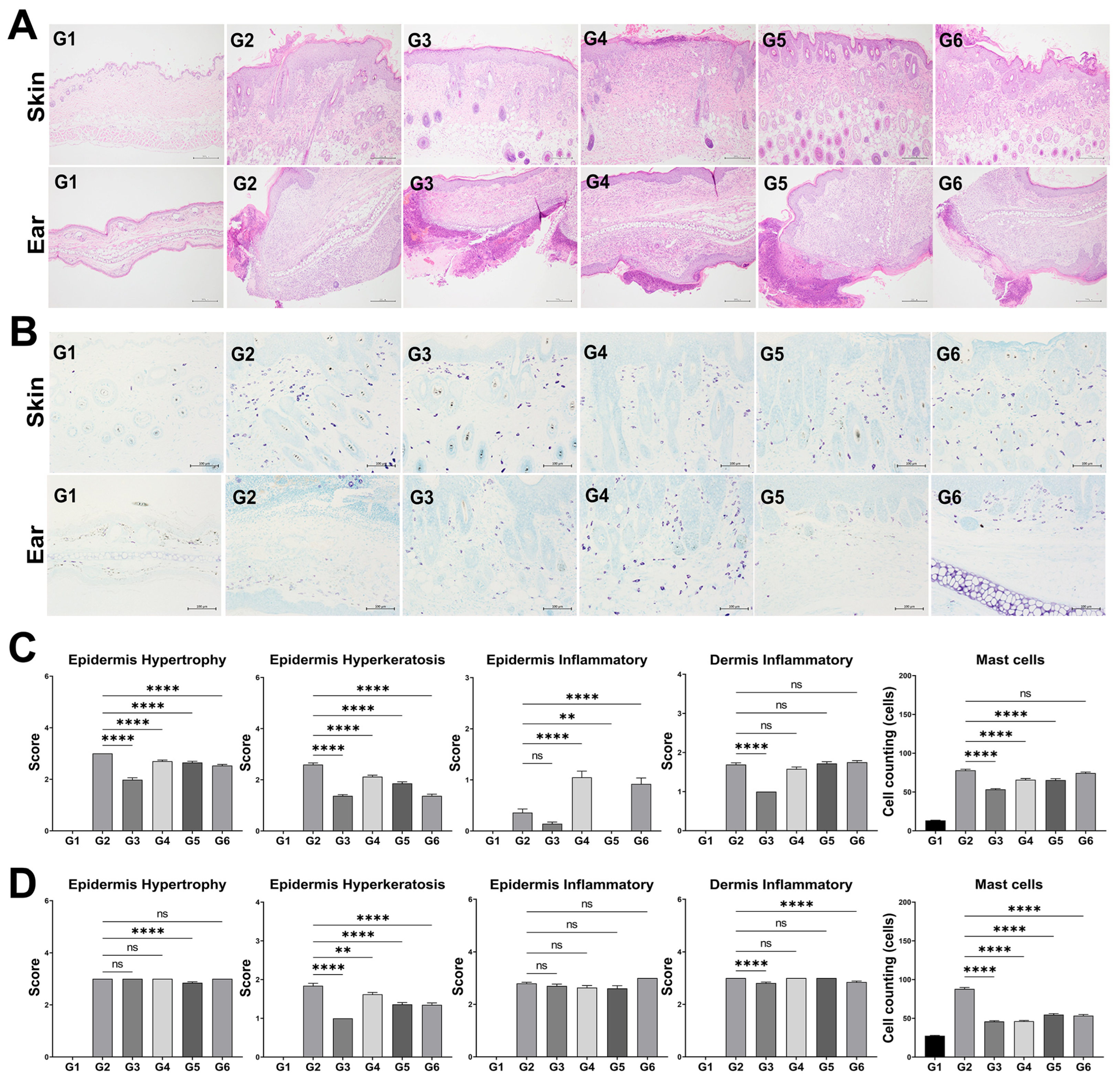 Microorganisms 13 01950 g005