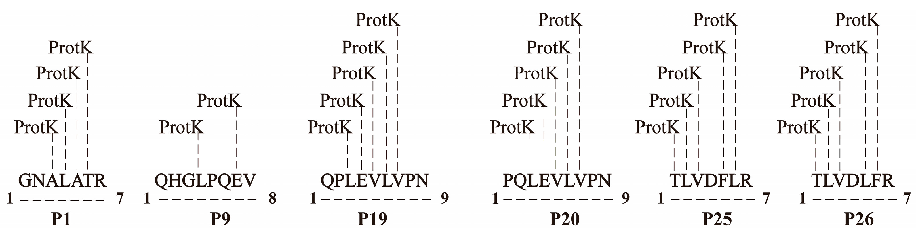 Microorganisms 13 01951 g003 Microorganisms 13 01951 g003