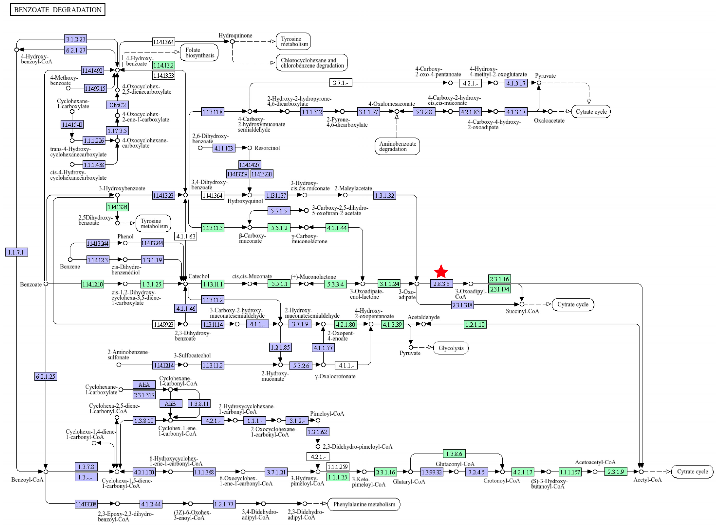 Microorganisms 13 01953 g003 Microorganisms 13 01953 g003