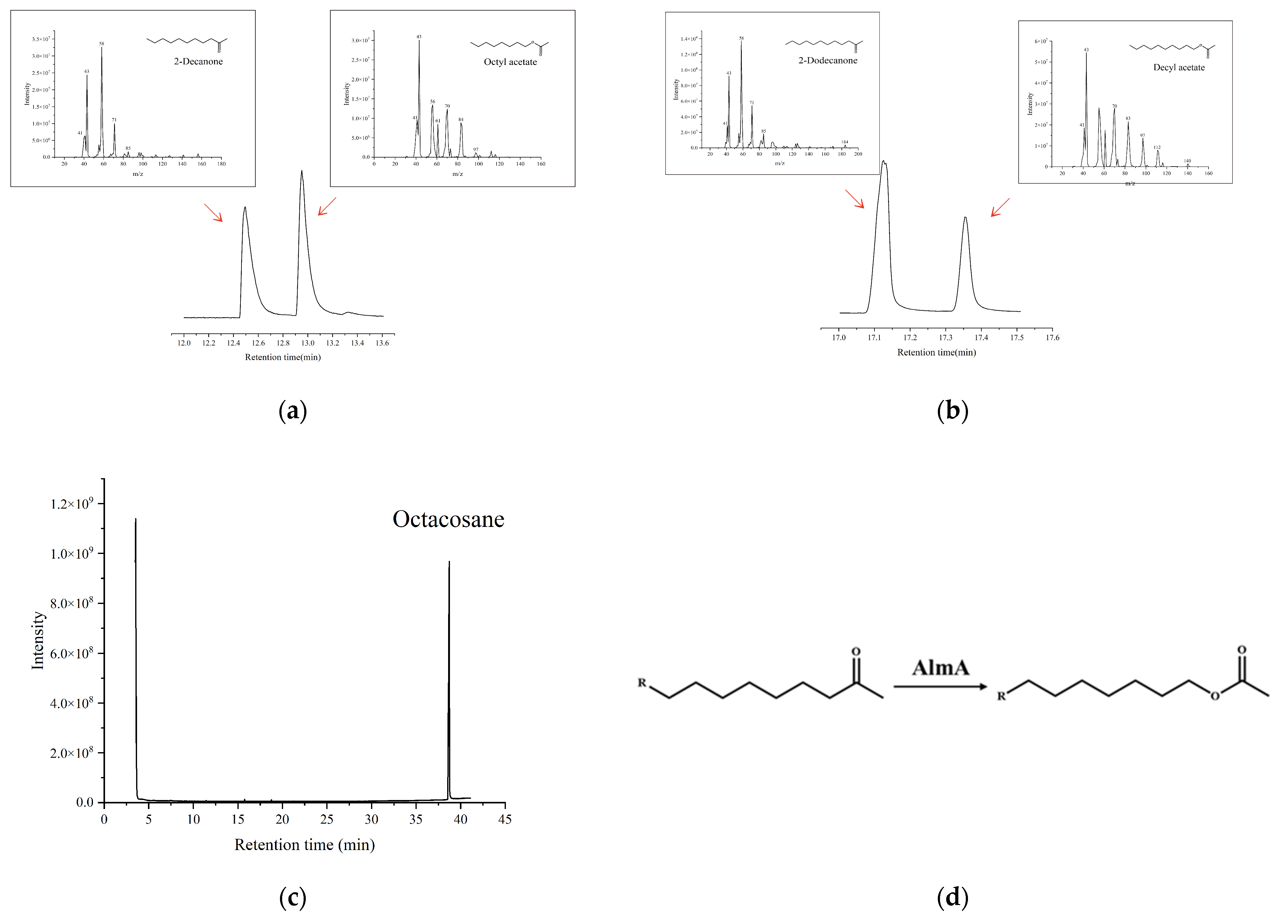 Microorganisms 13 01953 g008 Microorganisms 13 01953 g008