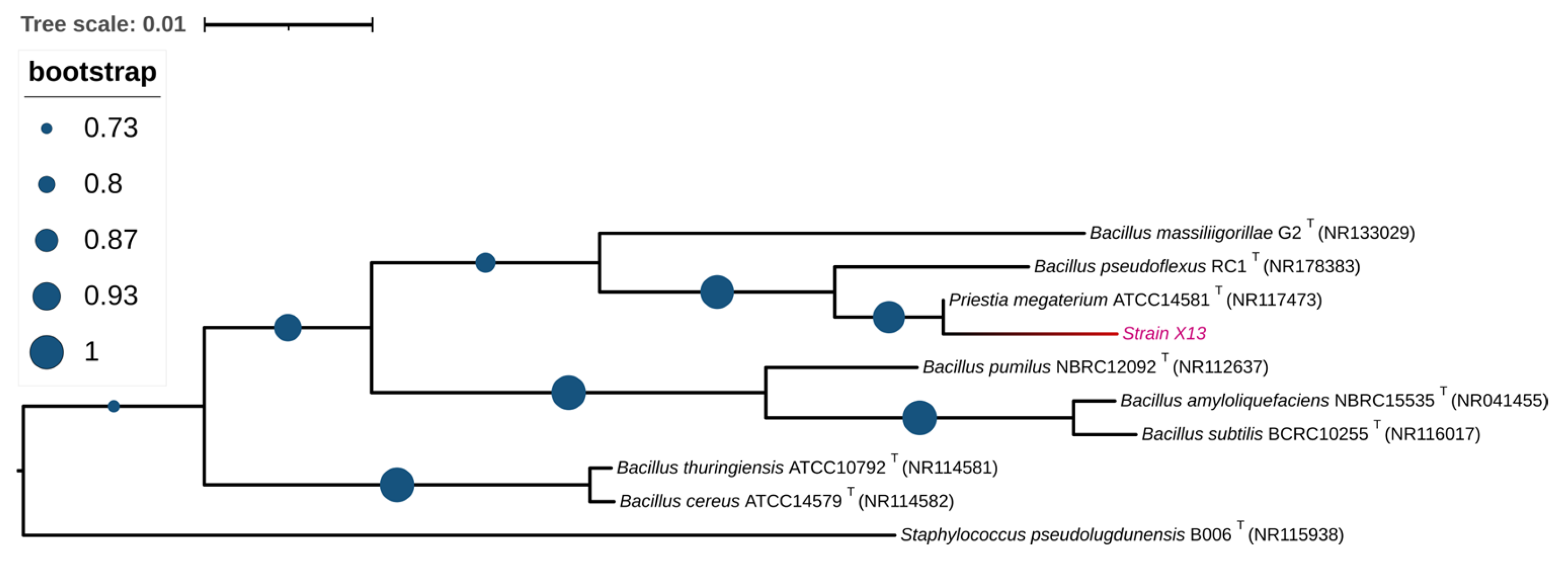 Microorganisms 13 01954 g002 Microorganisms 13 01954 g002