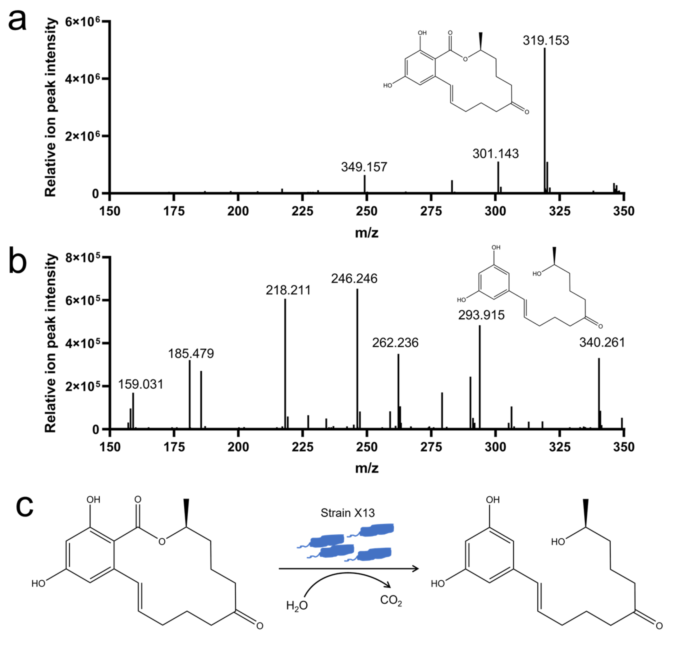 Microorganisms 13 01954 g005 Microorganisms 13 01954 g005