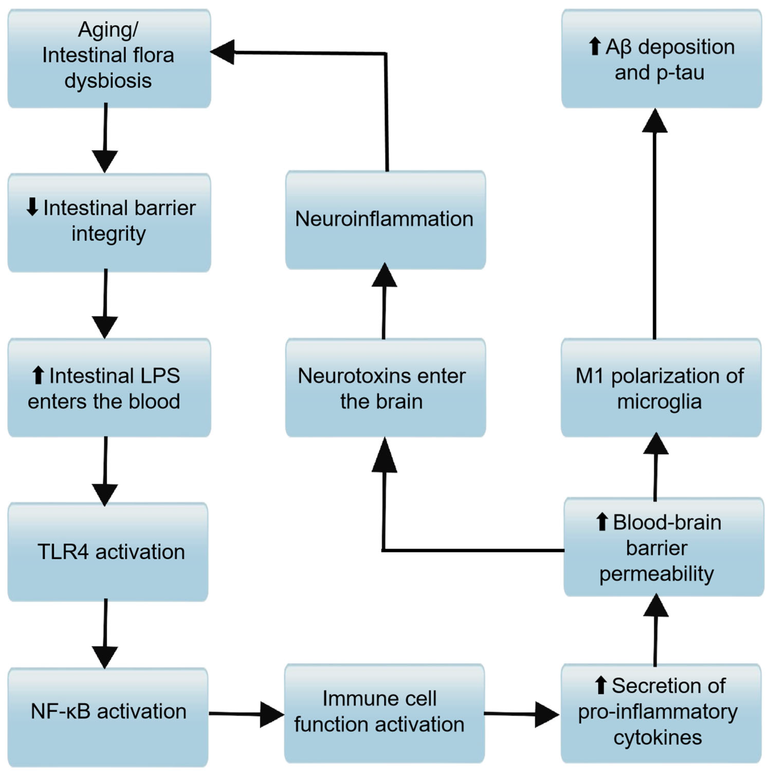 Microorganisms 13 01956 g003