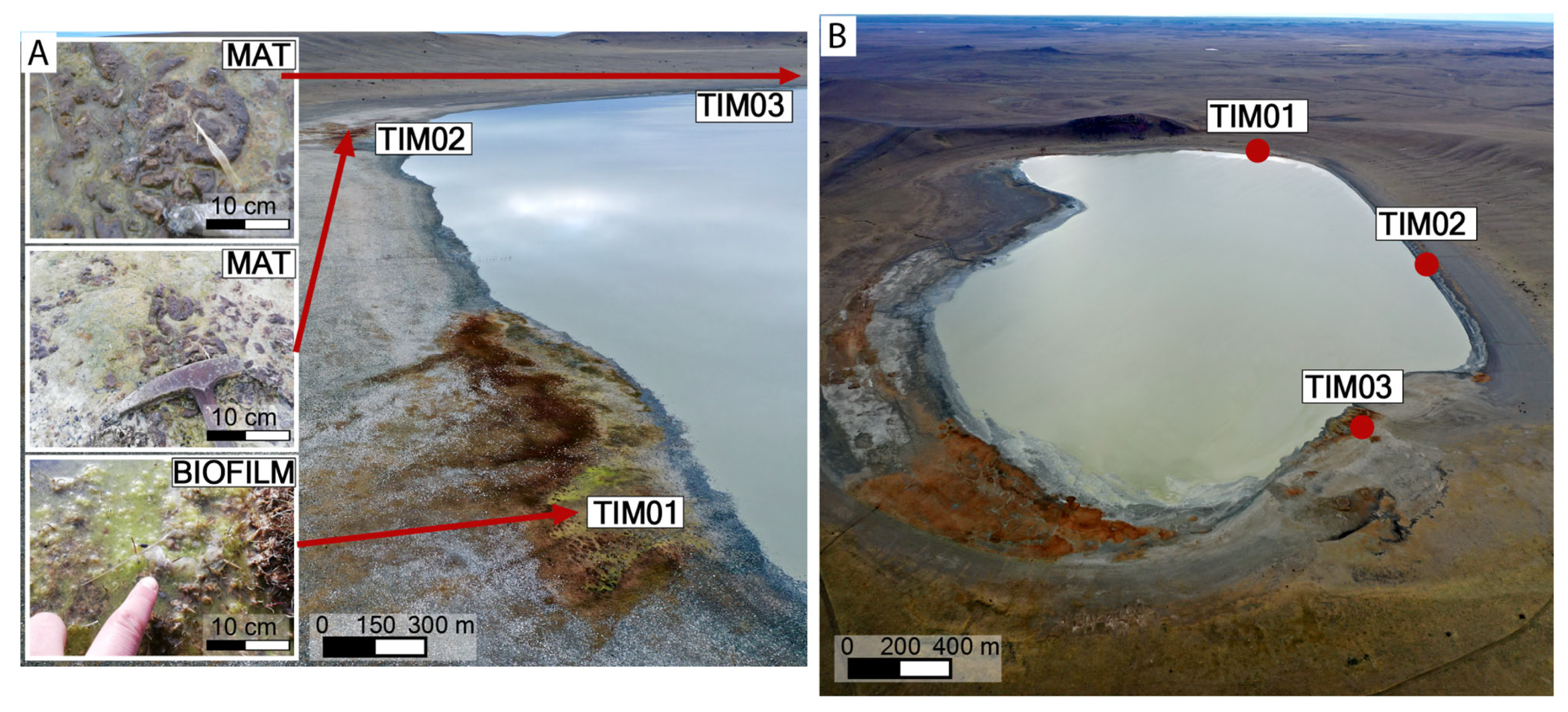 Microorganisms 13 01957 g002 Microorganisms 13 01957 g002
