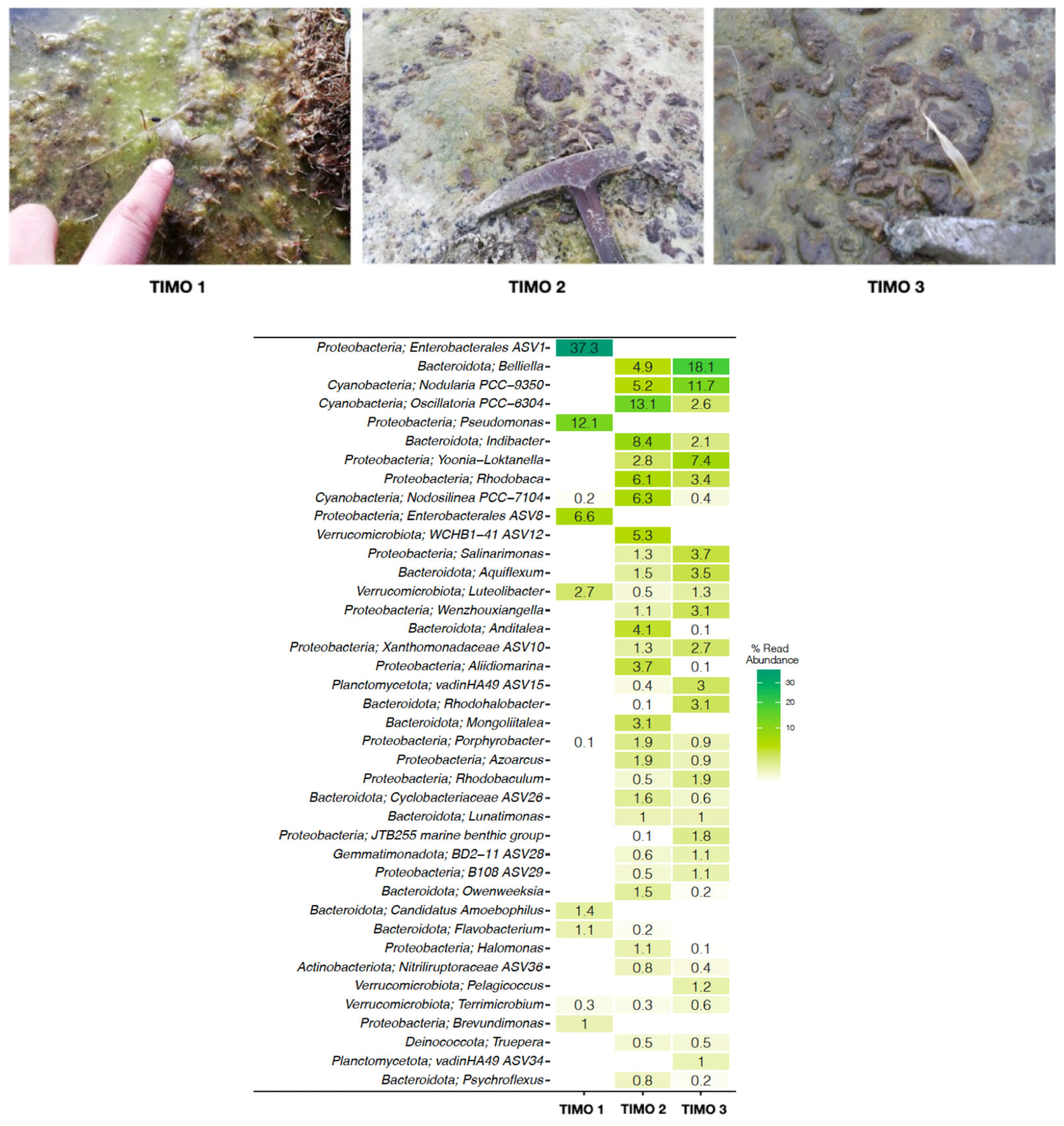 Microorganisms 13 01957 g004 Microorganisms 13 01957 g004