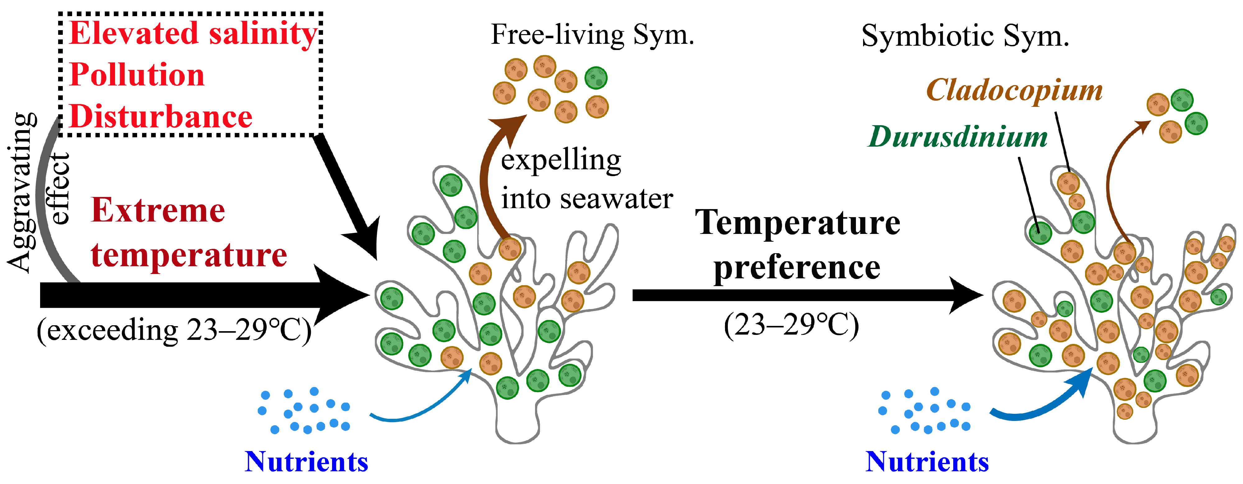 Microorganisms 13 01958 g005 Microorganisms 13 01958 g005