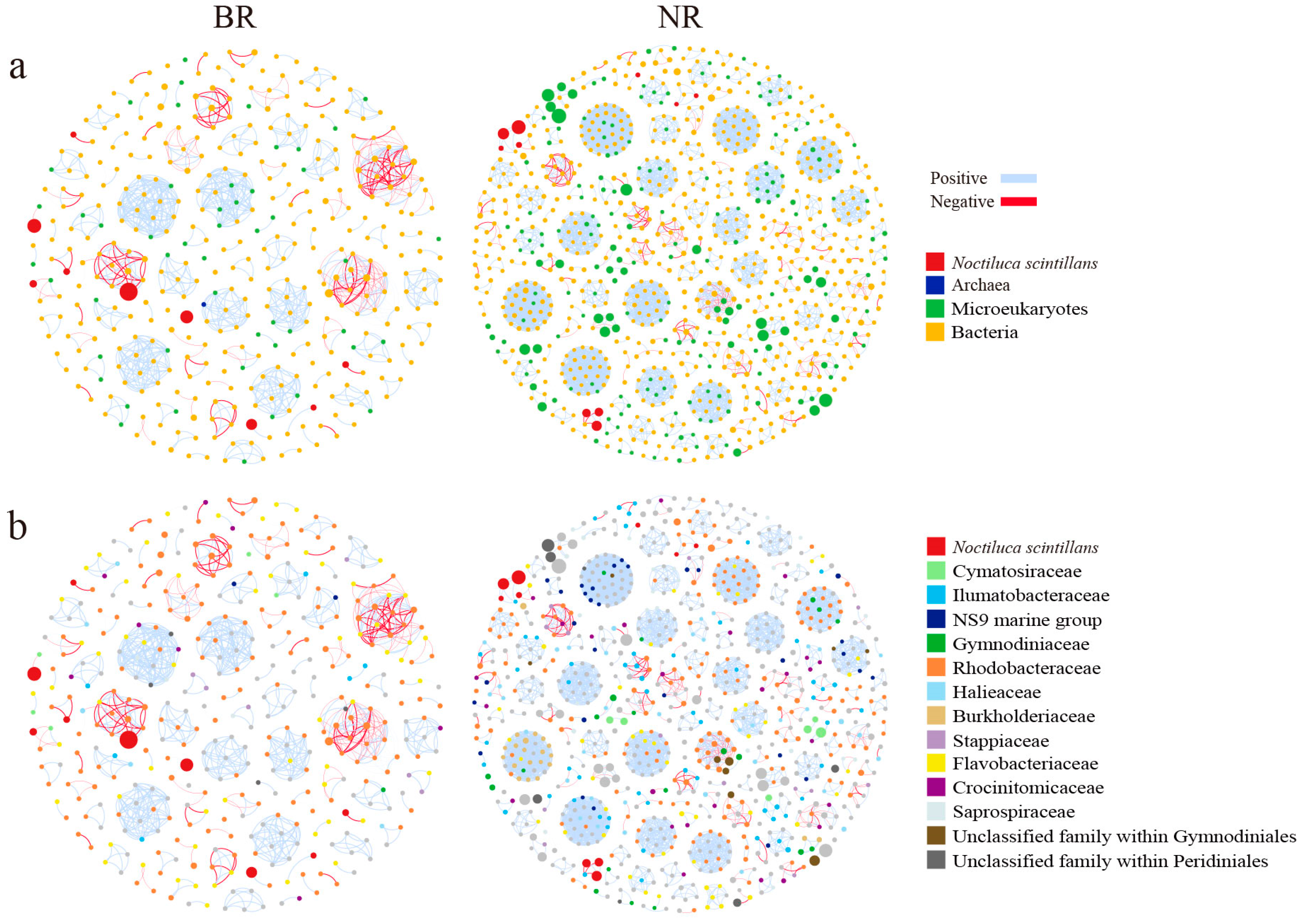 Microorganisms 13 01959 g006 Microorganisms 13 01959 g006