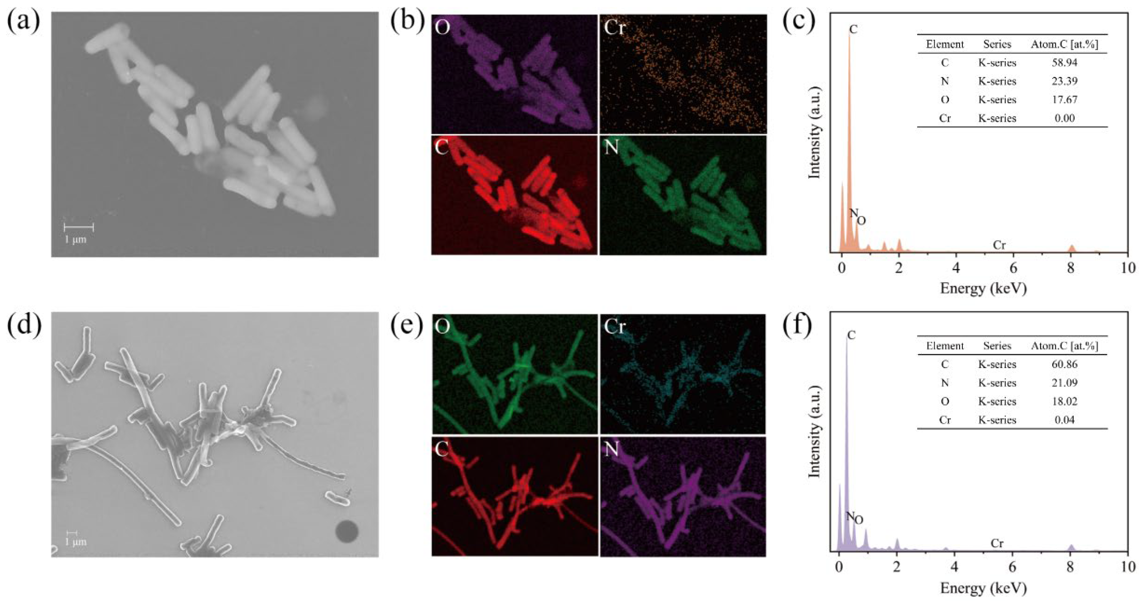 Microorganisms 13 01961 g003 Microorganisms 13 01961 g003