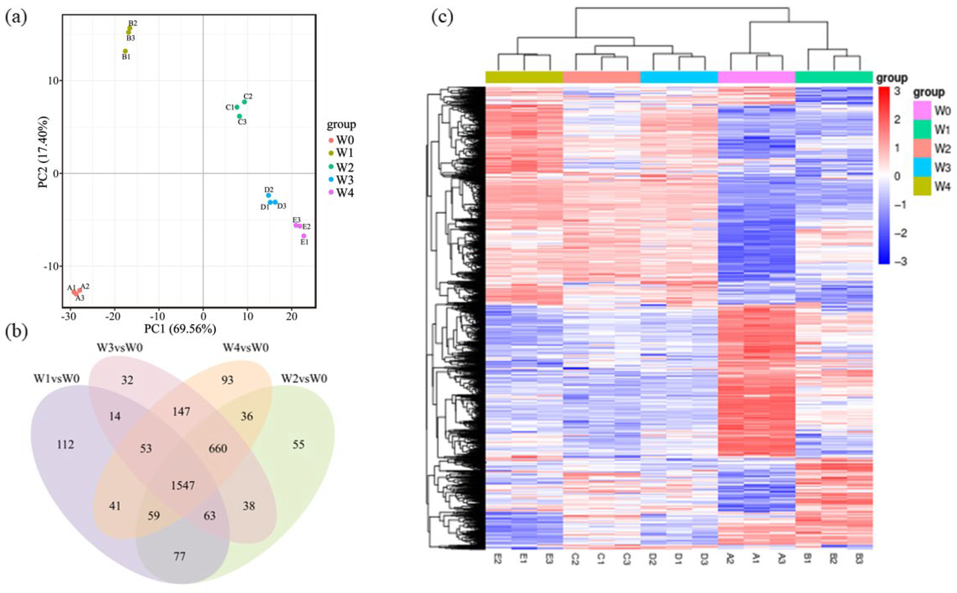 Microorganisms 13 01961 g006 Microorganisms 13 01961 g006
