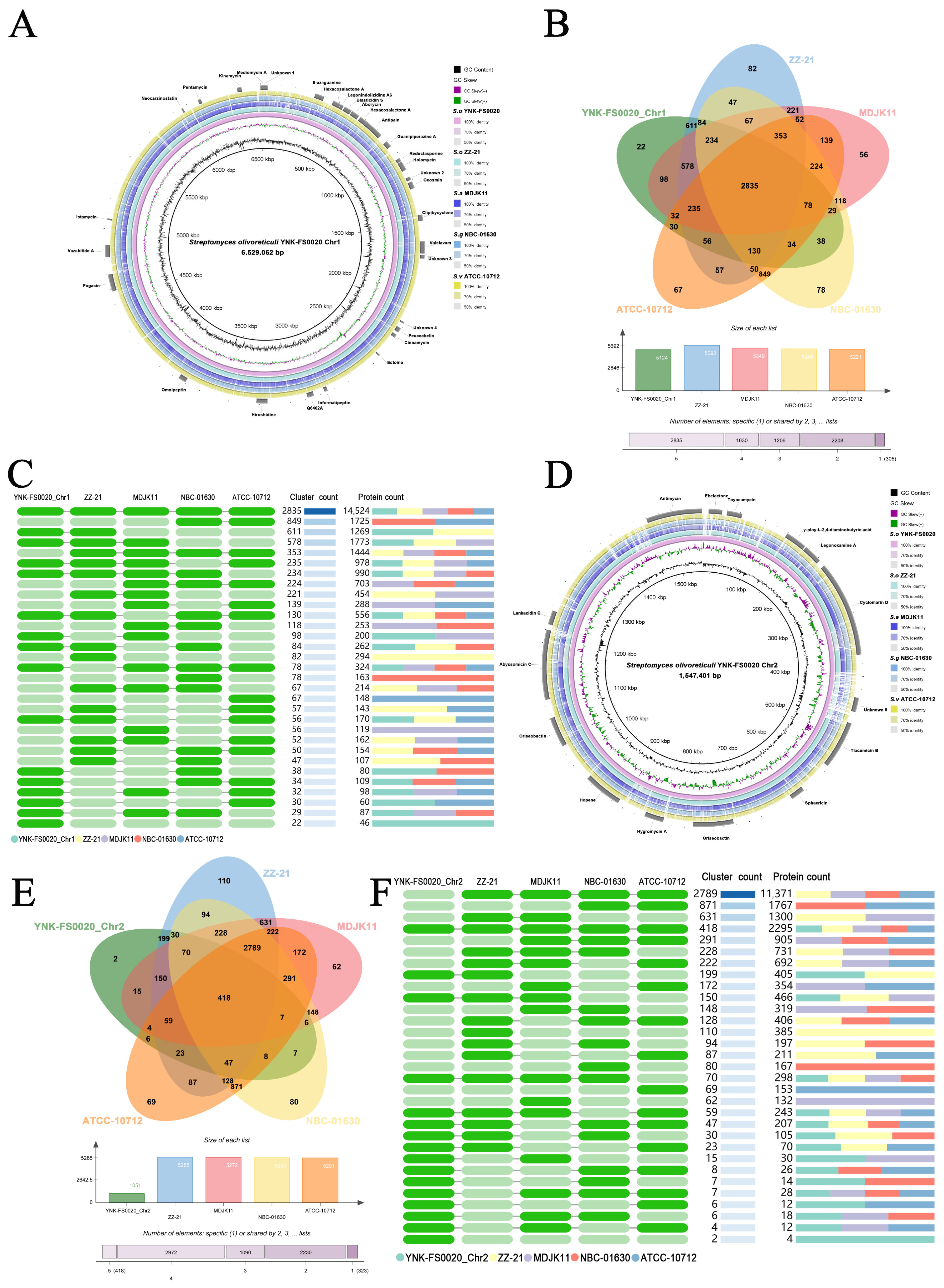 Microorganisms 13 01964 g006 Microorganisms 13 01964 g006