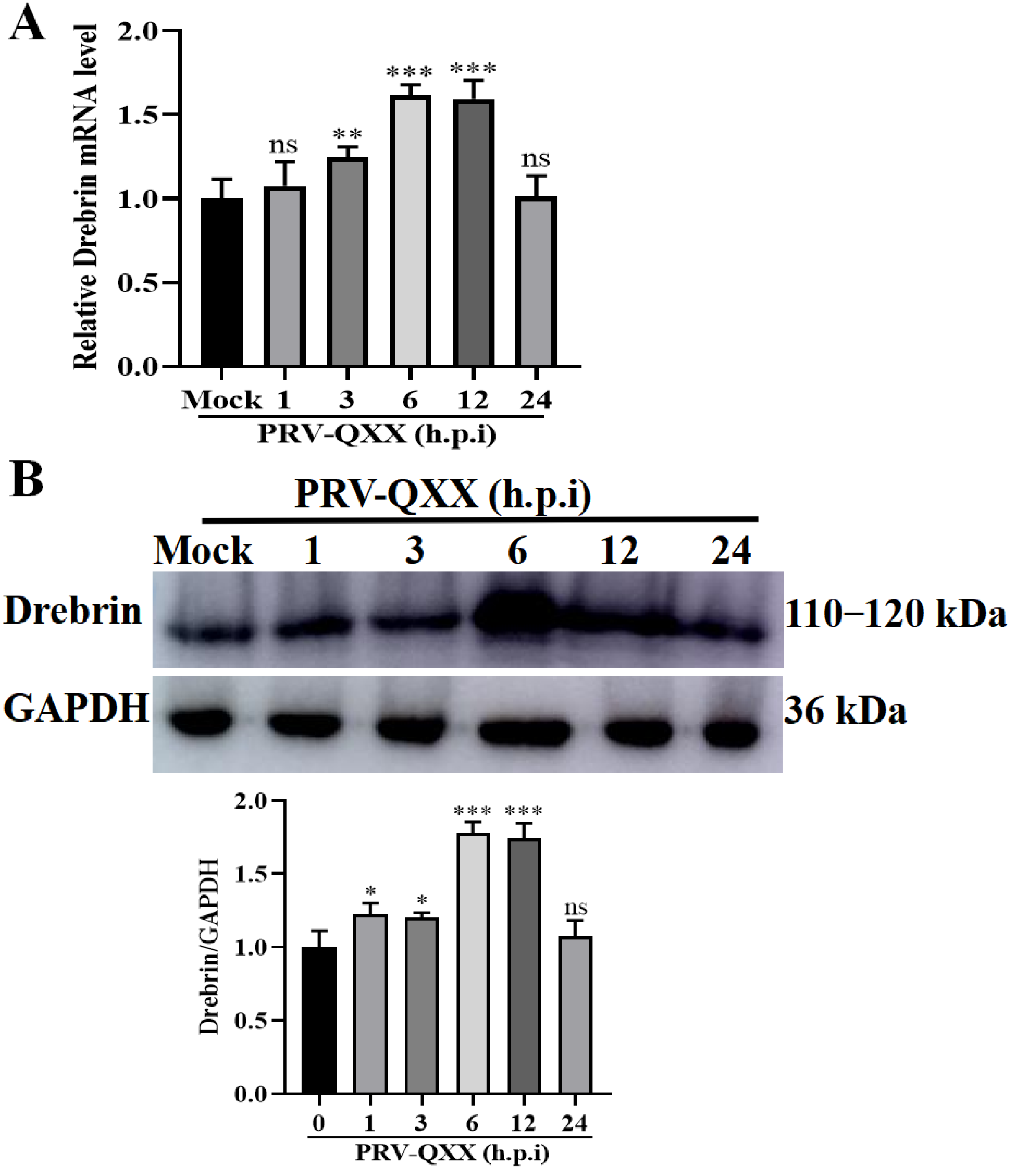 Microorganisms 13 01969 g001 Microorganisms 13 01969 g001