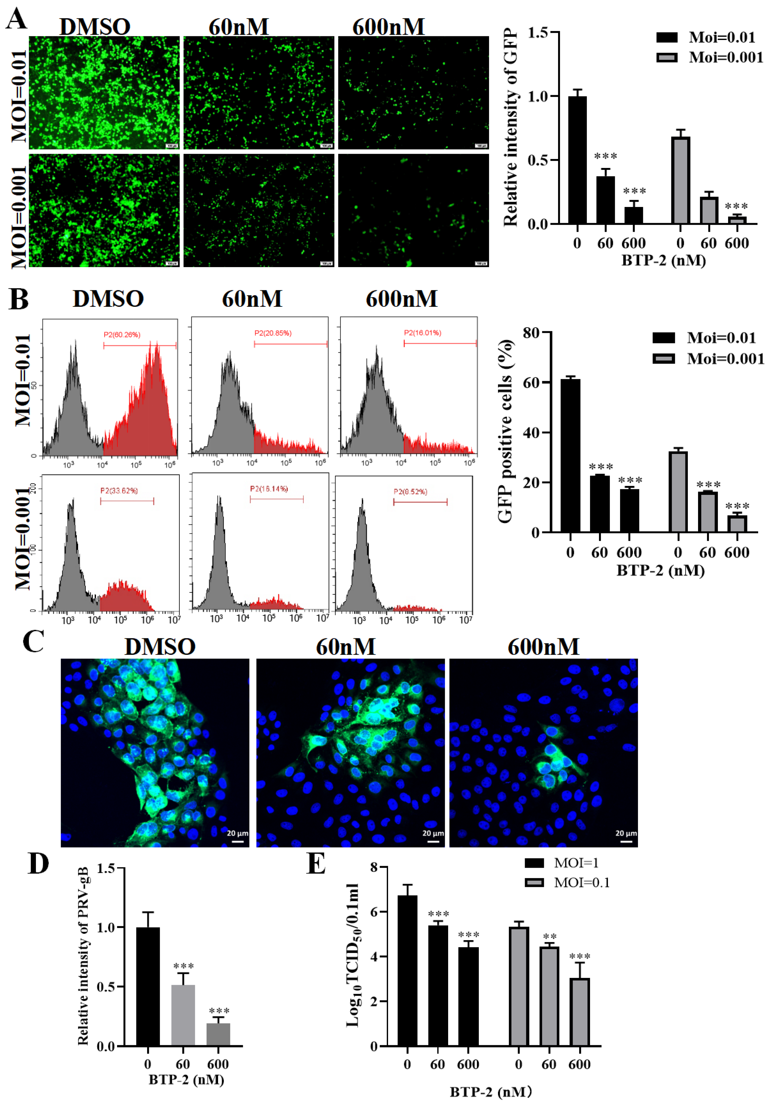 Microorganisms 13 01969 g002 Microorganisms 13 01969 g002