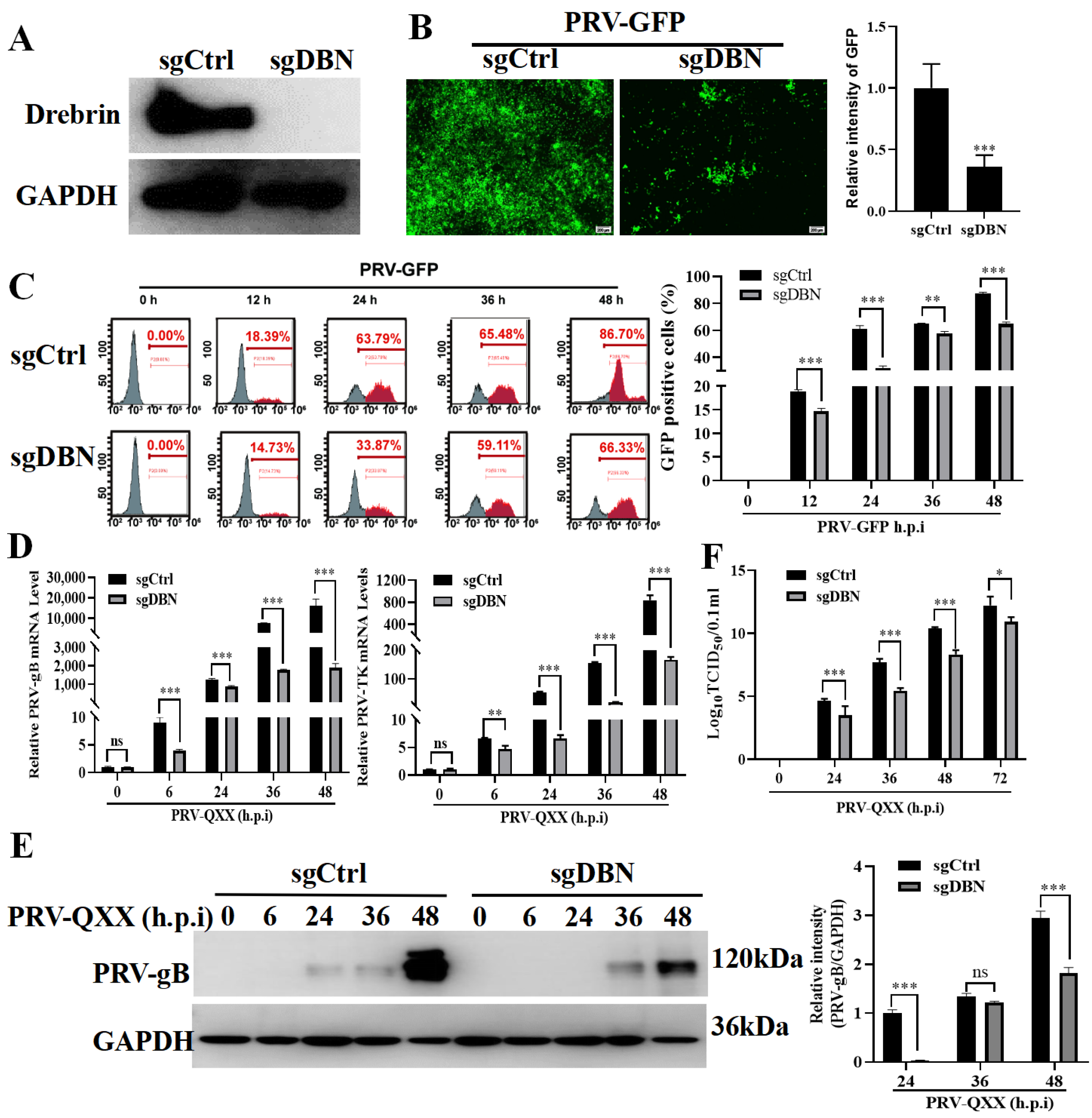 Microorganisms 13 01969 g003 Microorganisms 13 01969 g003