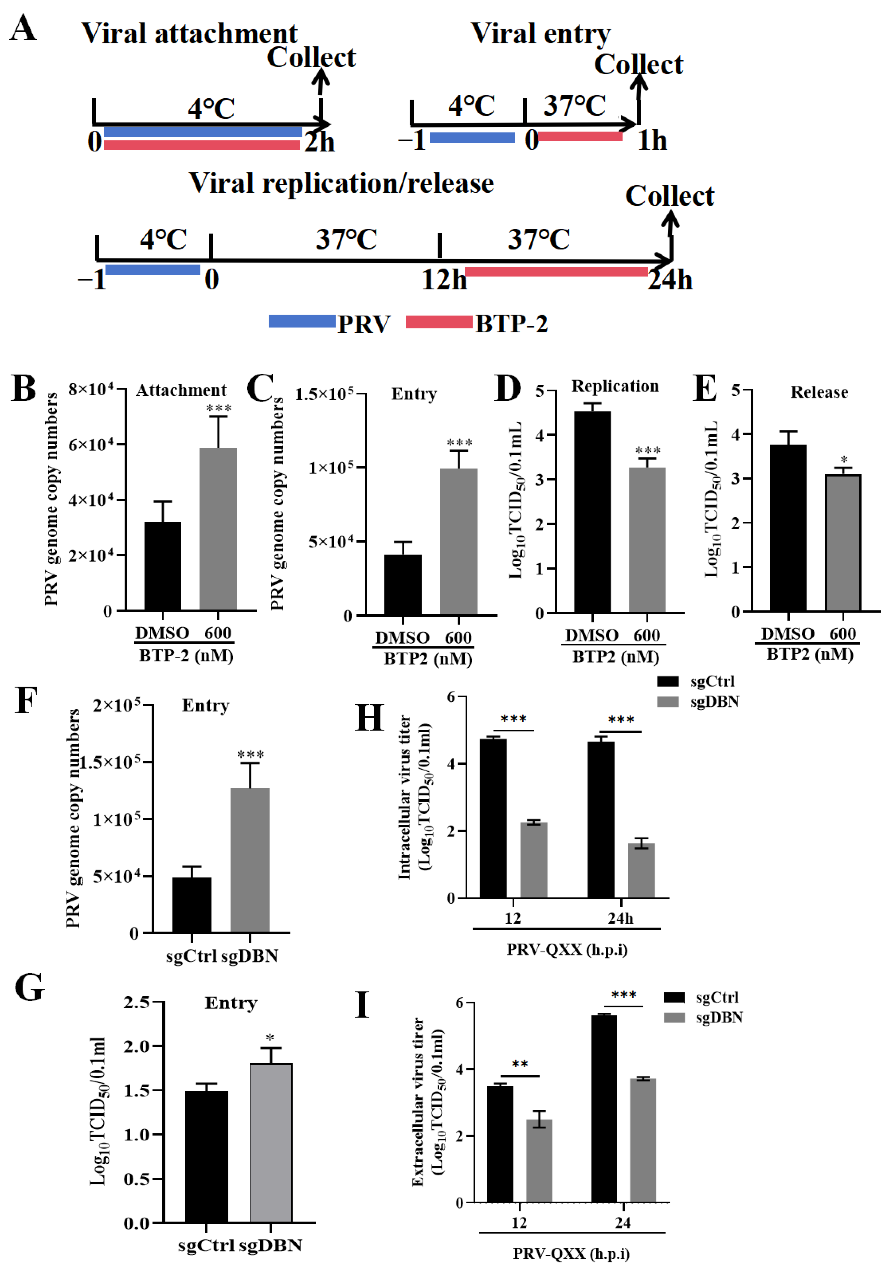 Microorganisms 13 01969 g004 Microorganisms 13 01969 g004