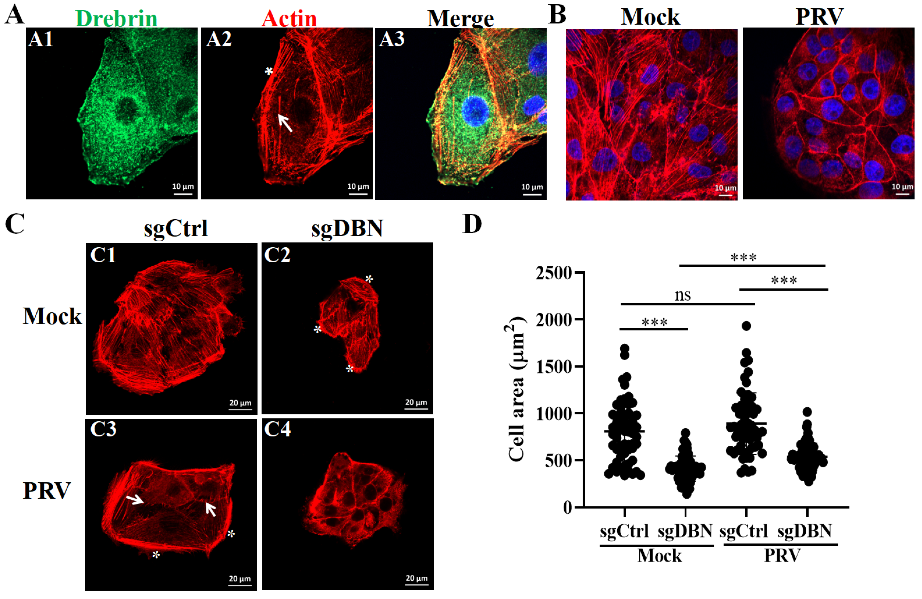 Microorganisms 13 01969 g005 Microorganisms 13 01969 g005