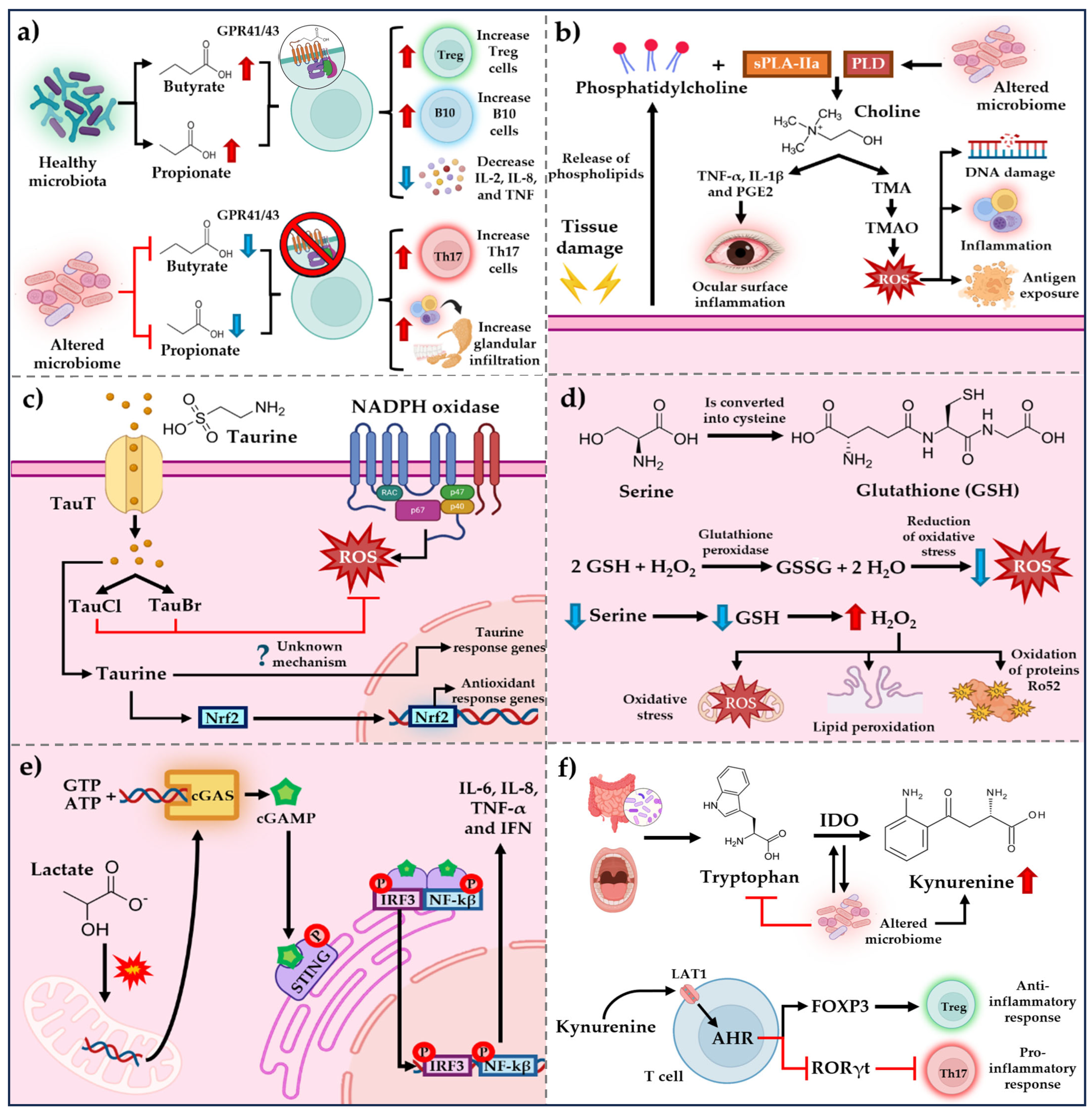 Microorganisms 13 01979 g001 Microorganisms 13 01979 g001