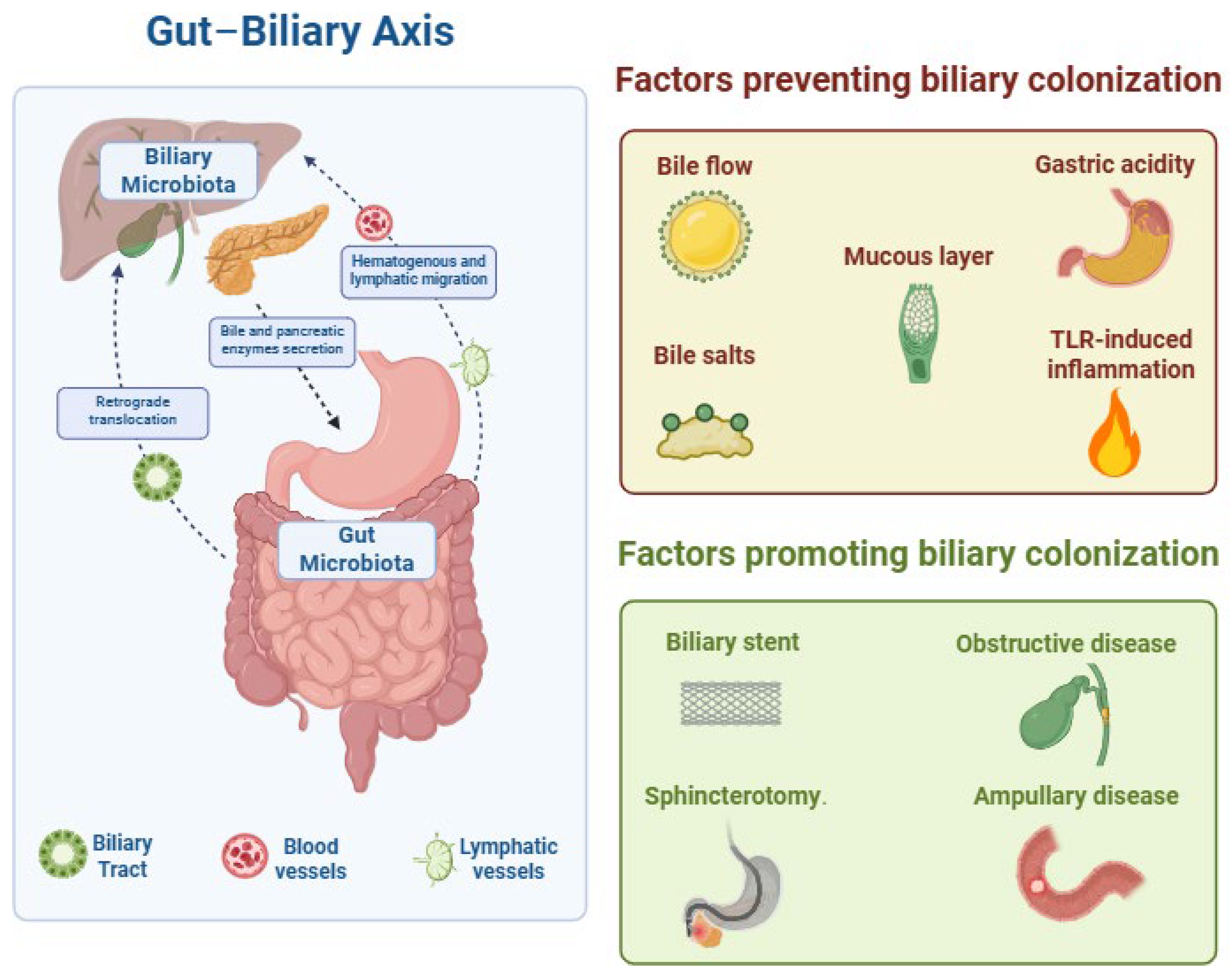 Microorganisms 13 01980 g001 Microorganisms 13 01980 g001