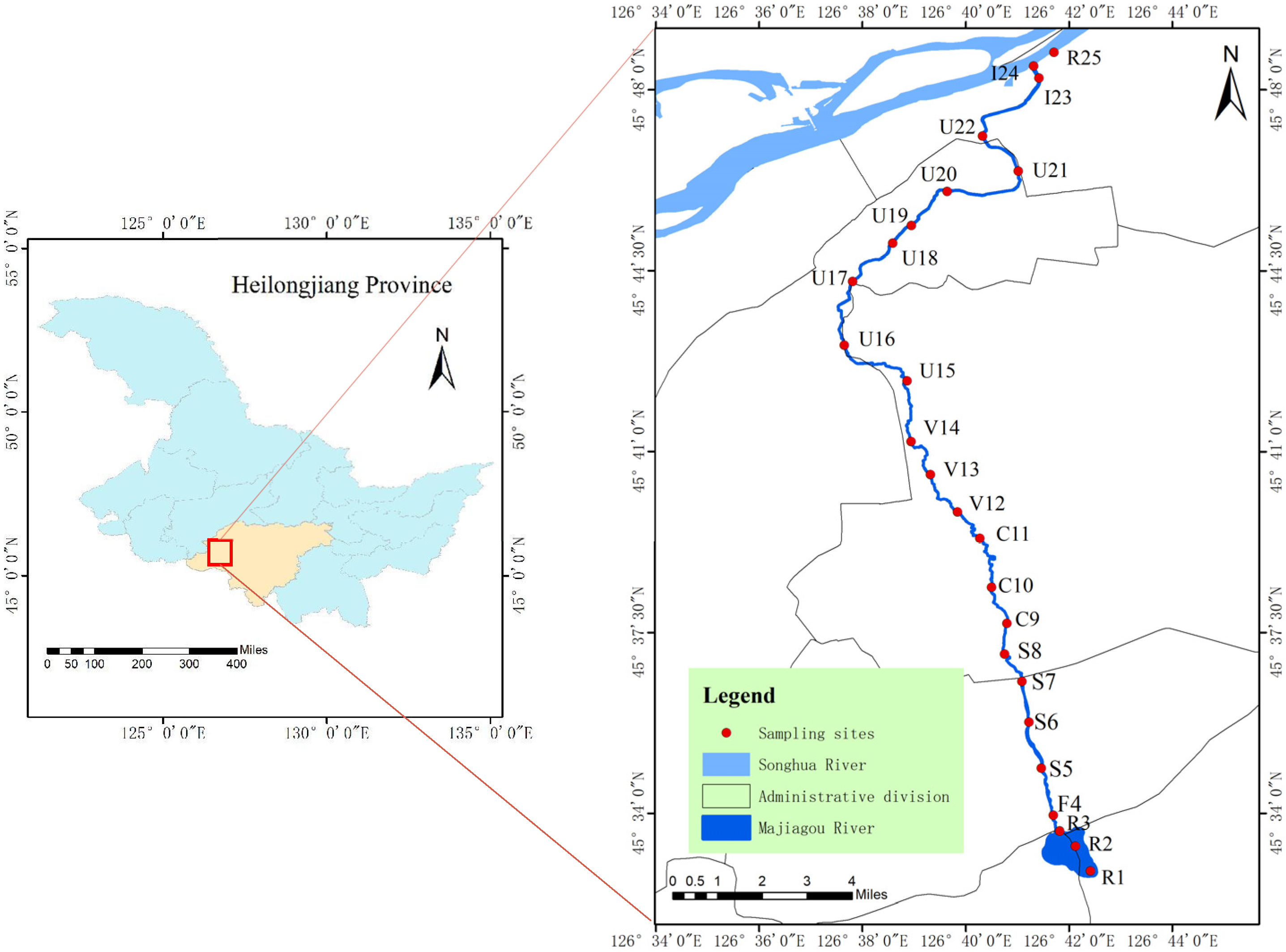 Microorganisms 13 01981 g001