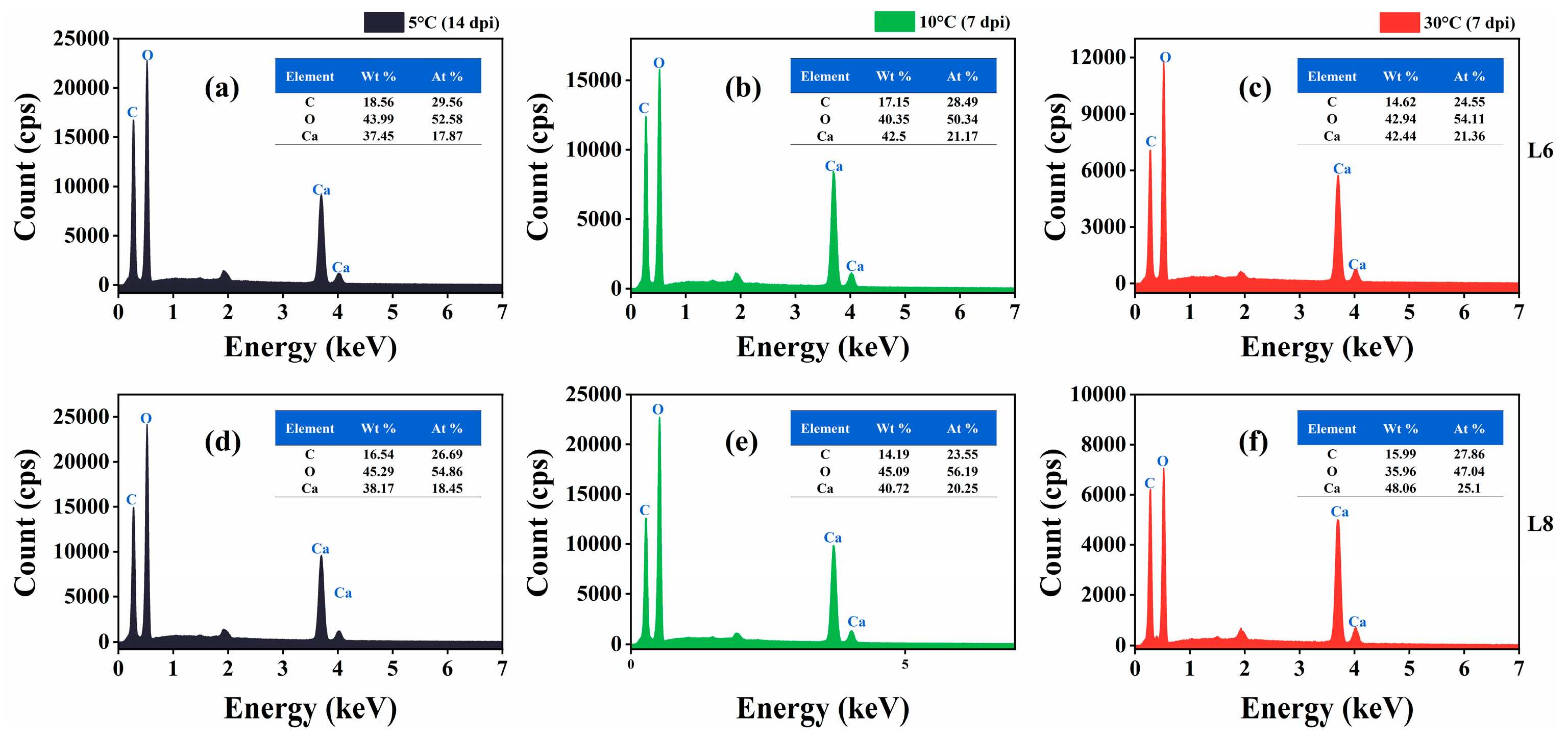 Microorganisms 13 01985 g012