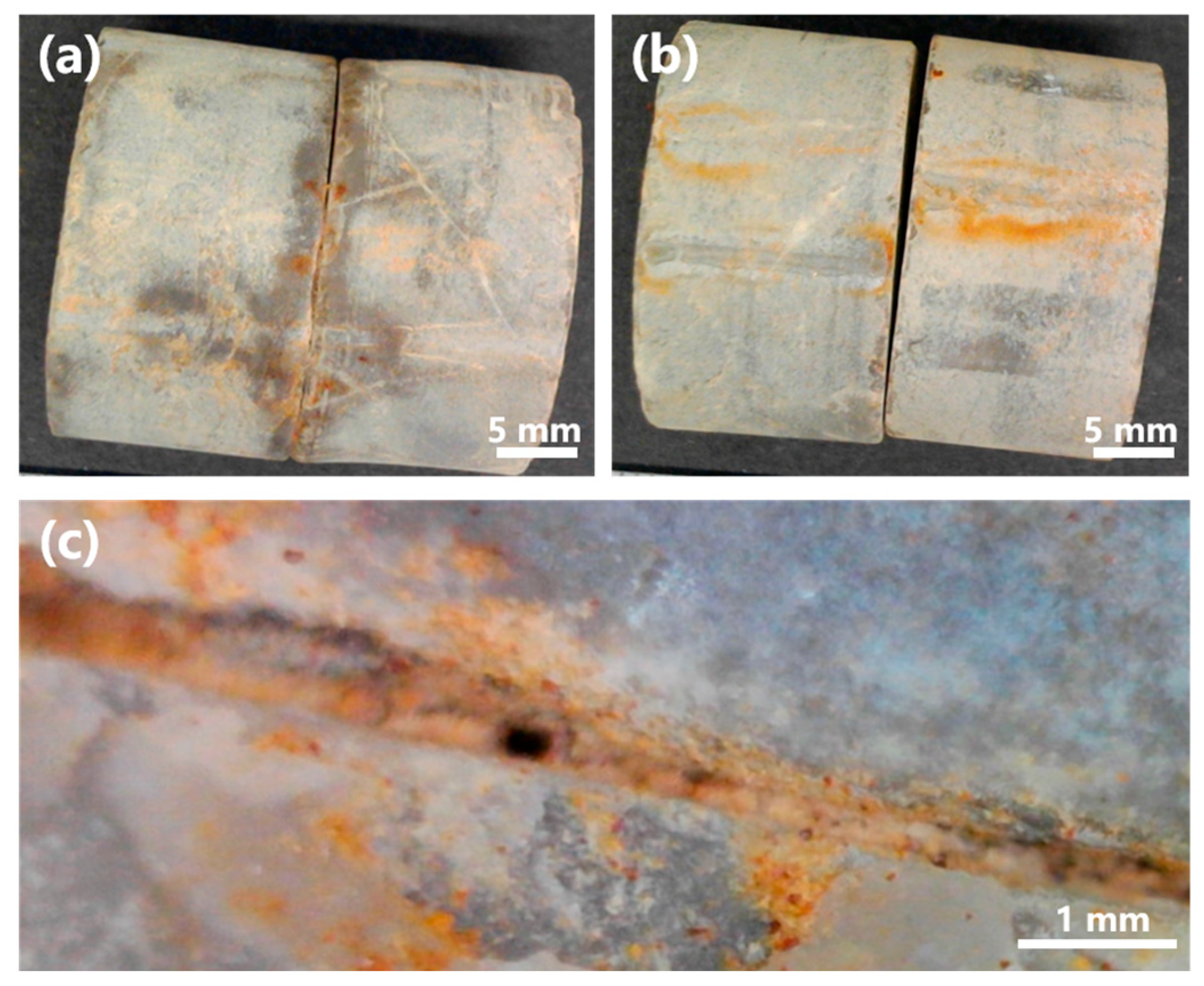 Microorganisms 13 01985 g013