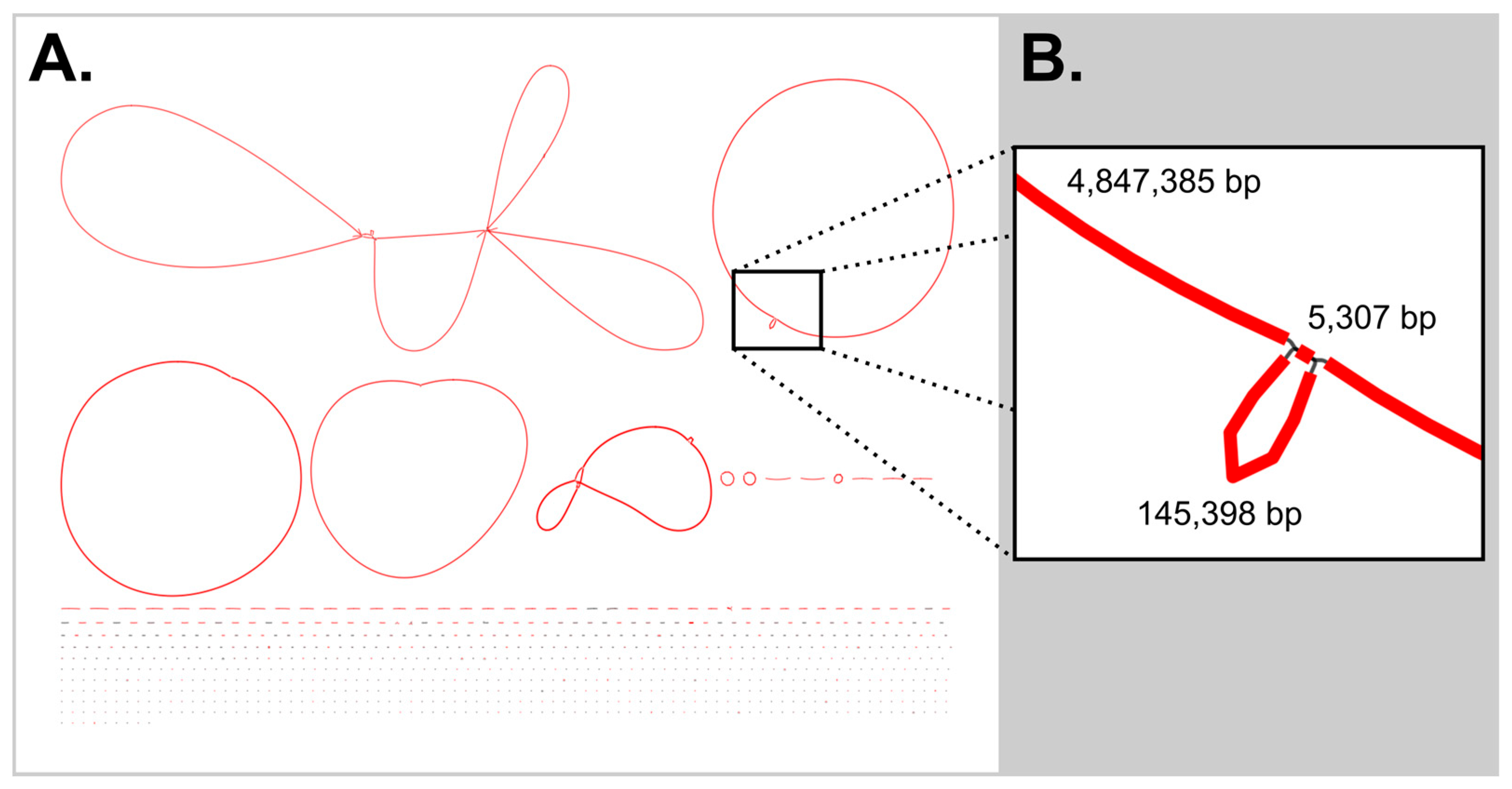 Microorganisms 13 01996 g001
