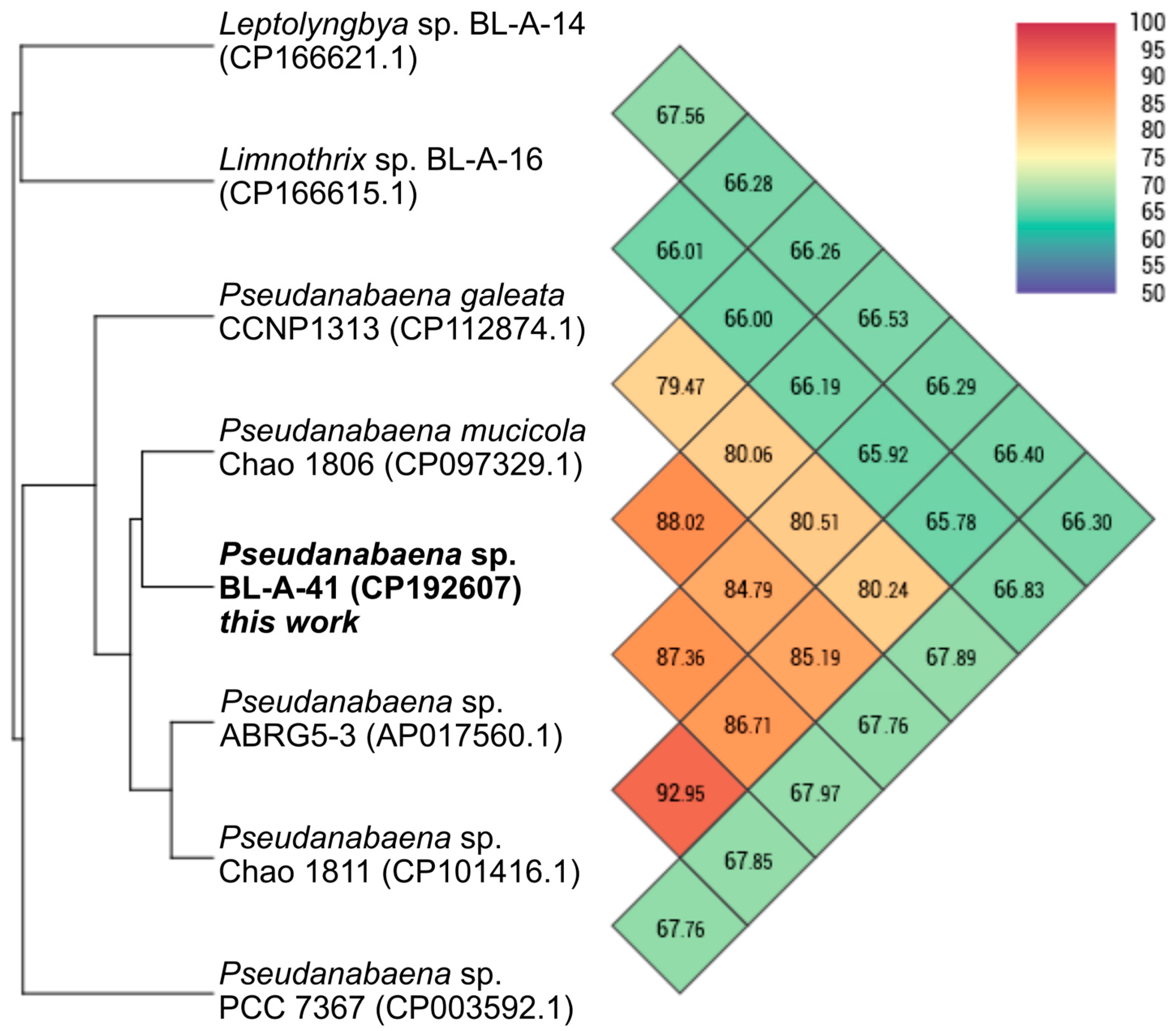 Microorganisms 13 01996 g002