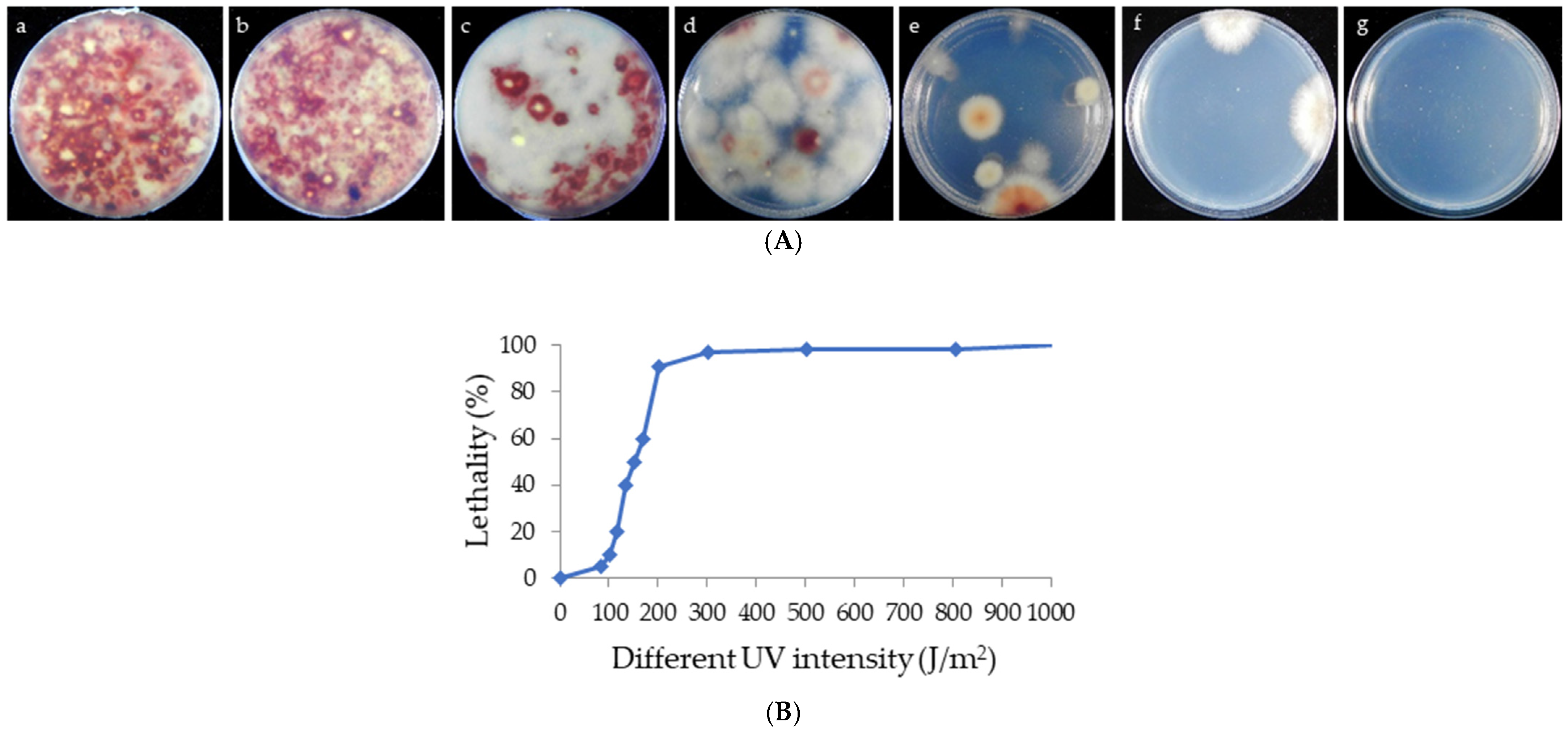 Microorganisms 13 01999 g002 Microorganisms 13 01999 g002