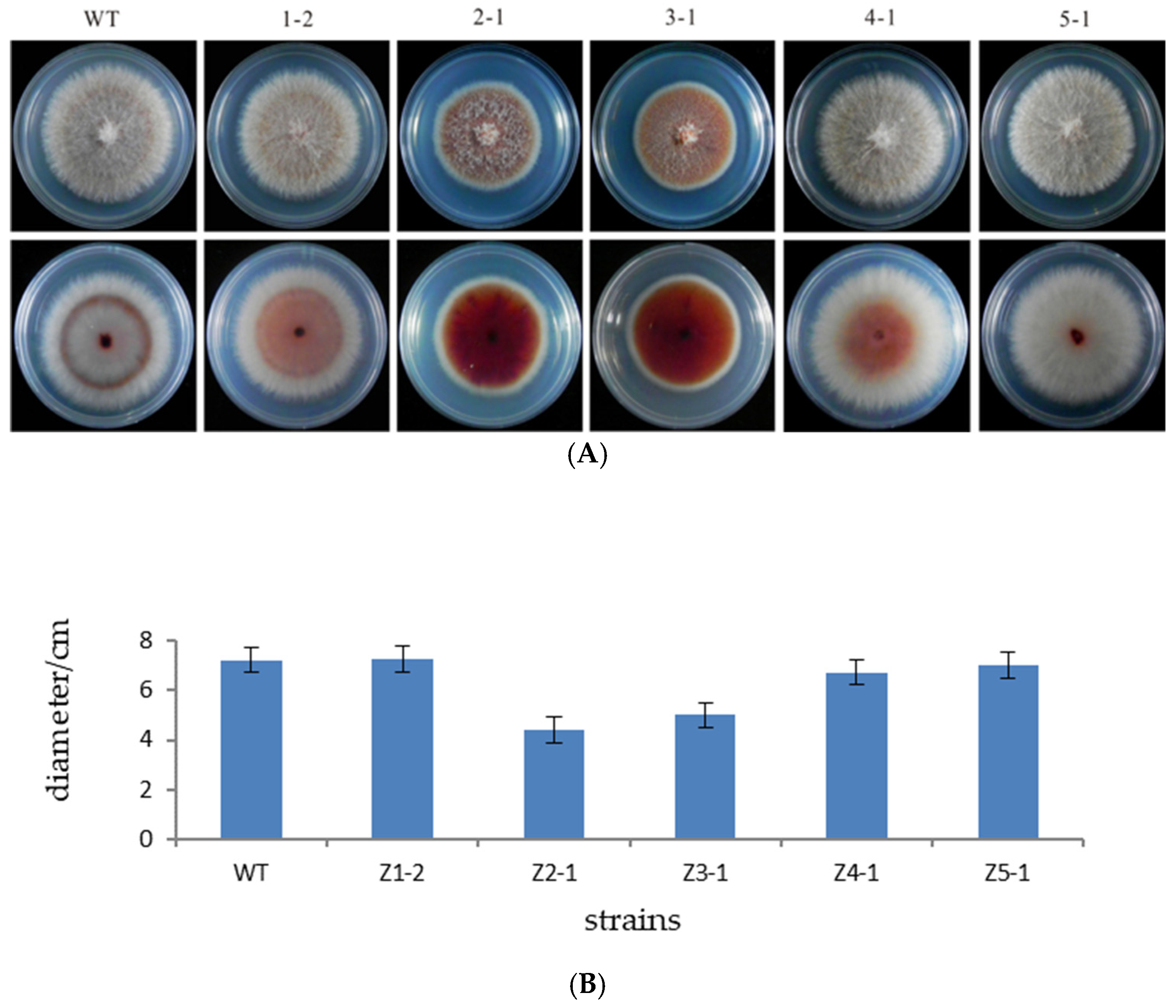Microorganisms 13 01999 g003 Microorganisms 13 01999 g003