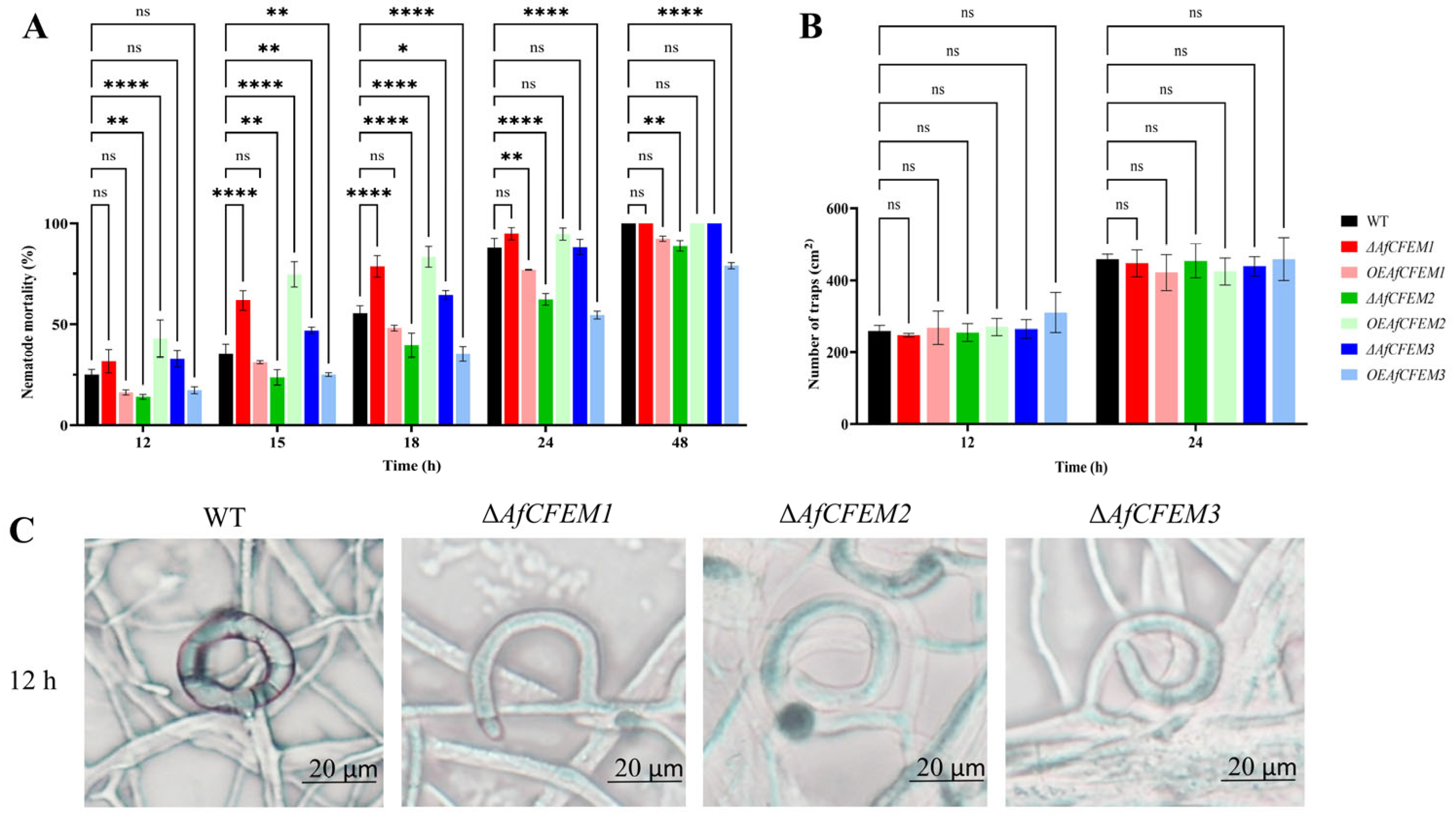 Microorganisms 13 02001 g003 Microorganisms 13 02001 g003