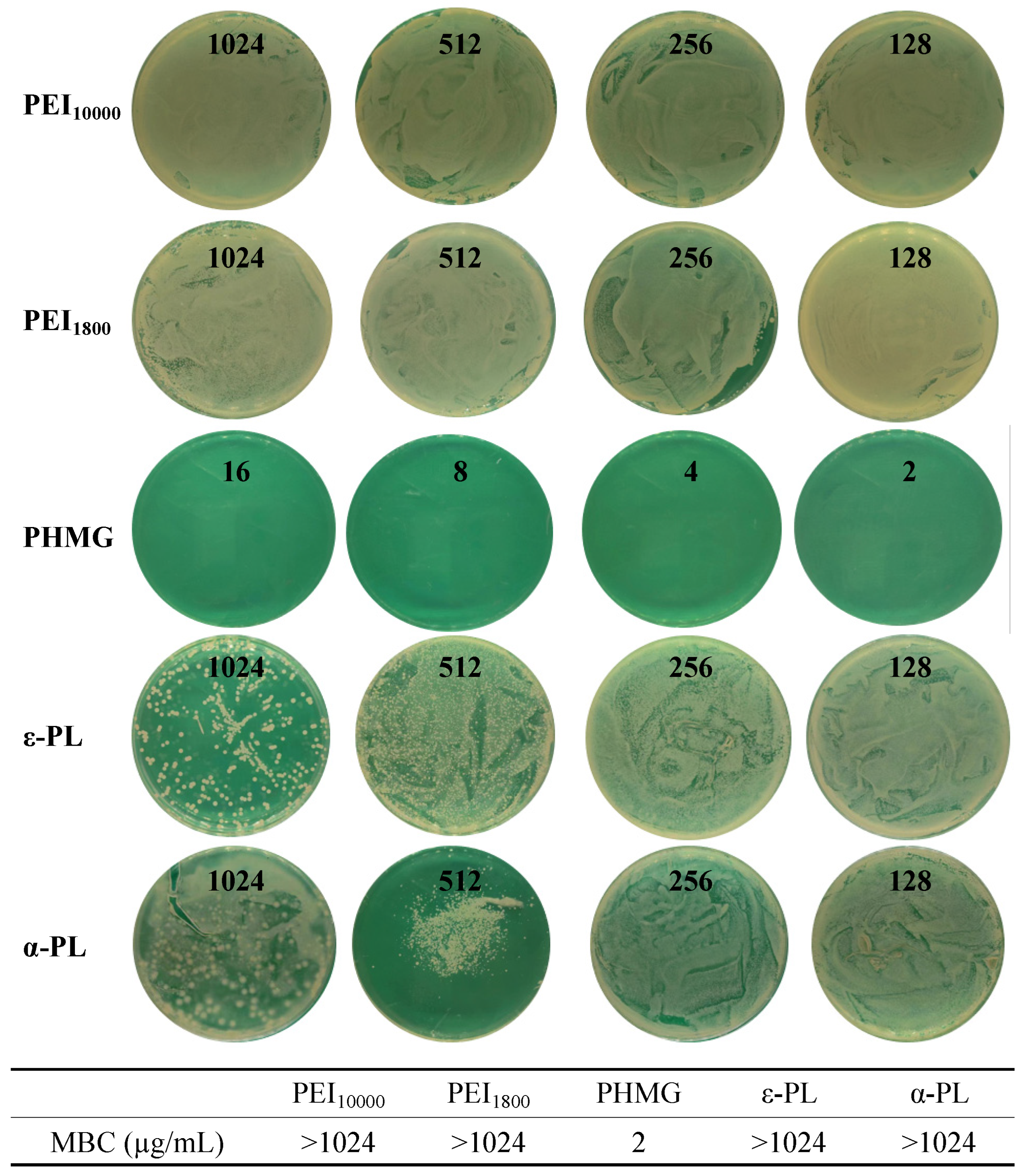 Microorganisms 13 02002 g004 Microorganisms 13 02002 g004