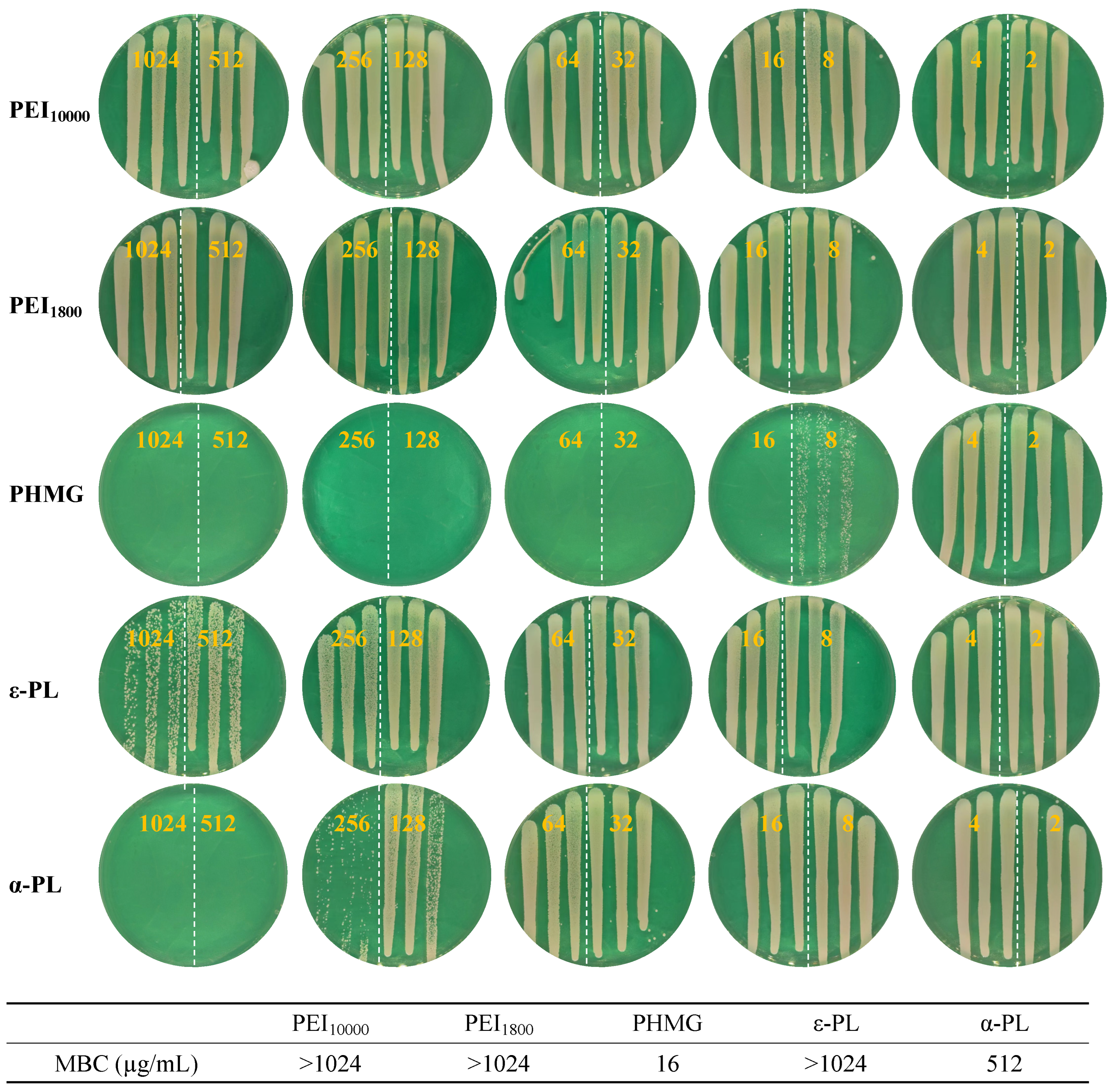 Microorganisms 13 02002 g005 Microorganisms 13 02002 g005