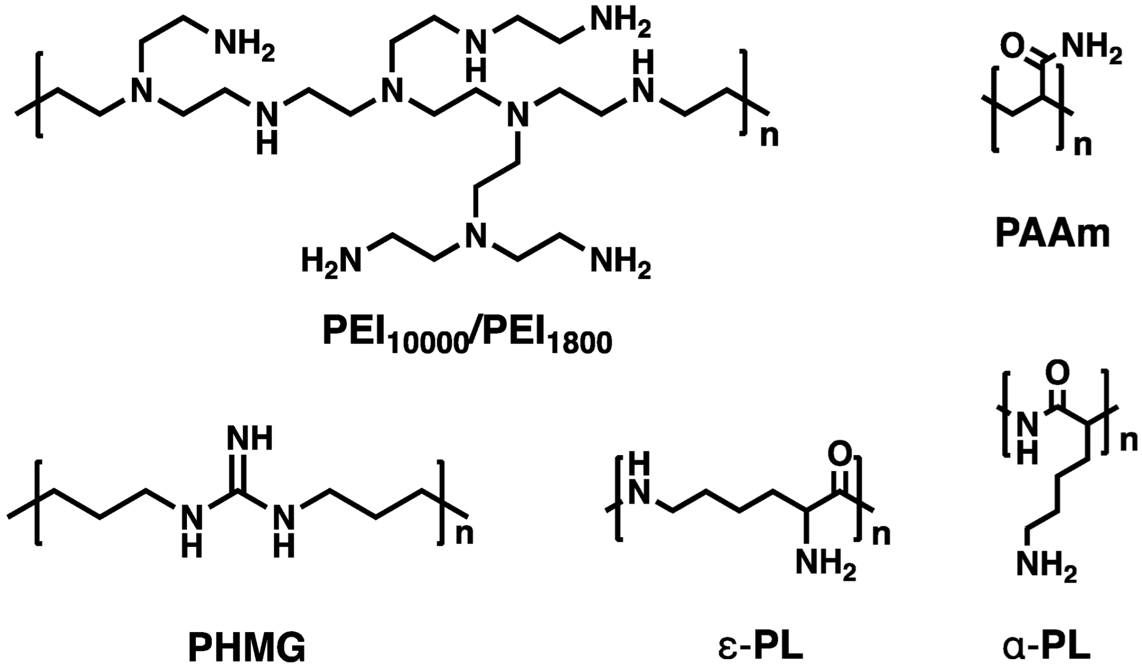 Microorganisms 13 02002 sch001 Microorganisms 13 02002 sch001