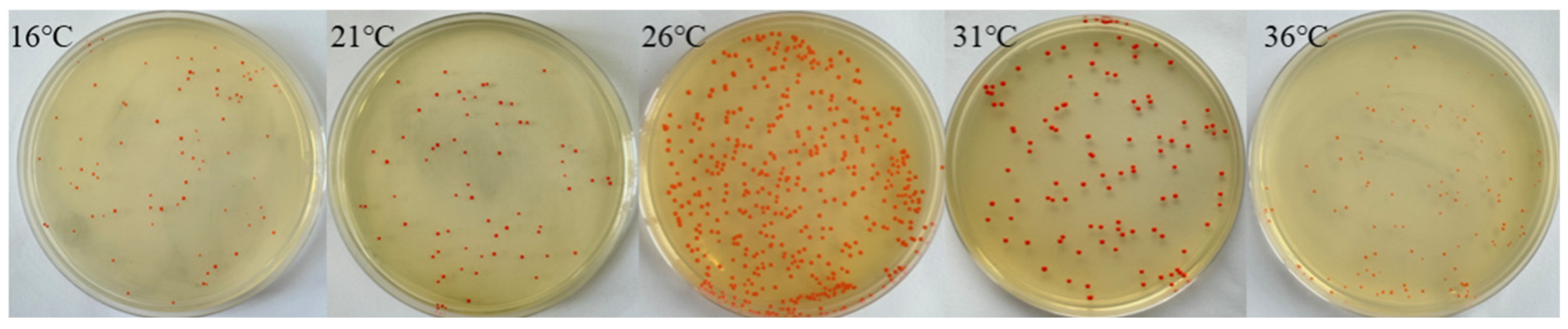Microorganisms 13 02003 g003 Microorganisms 13 02003 g003