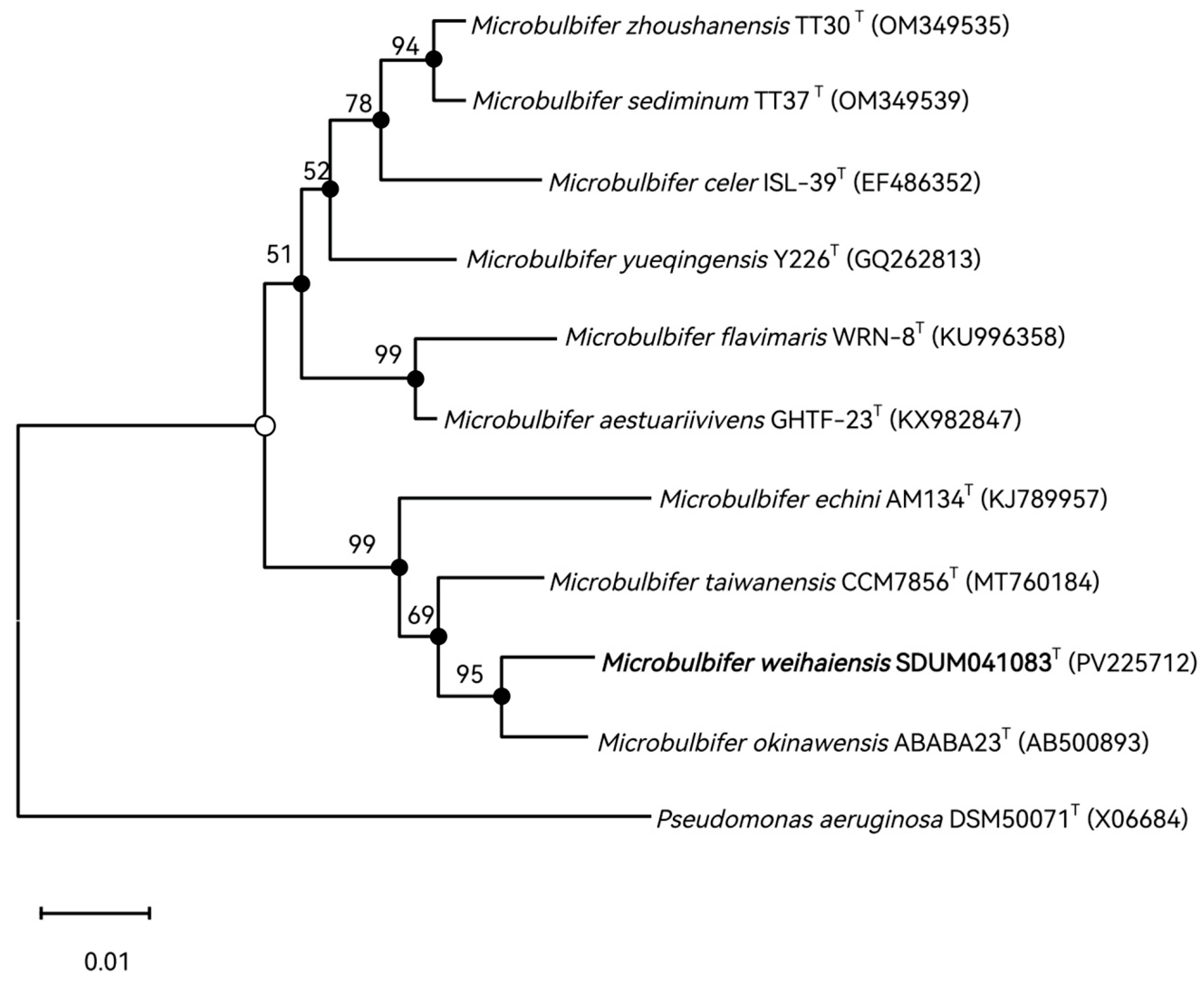 Microorganisms 13 02005 g001