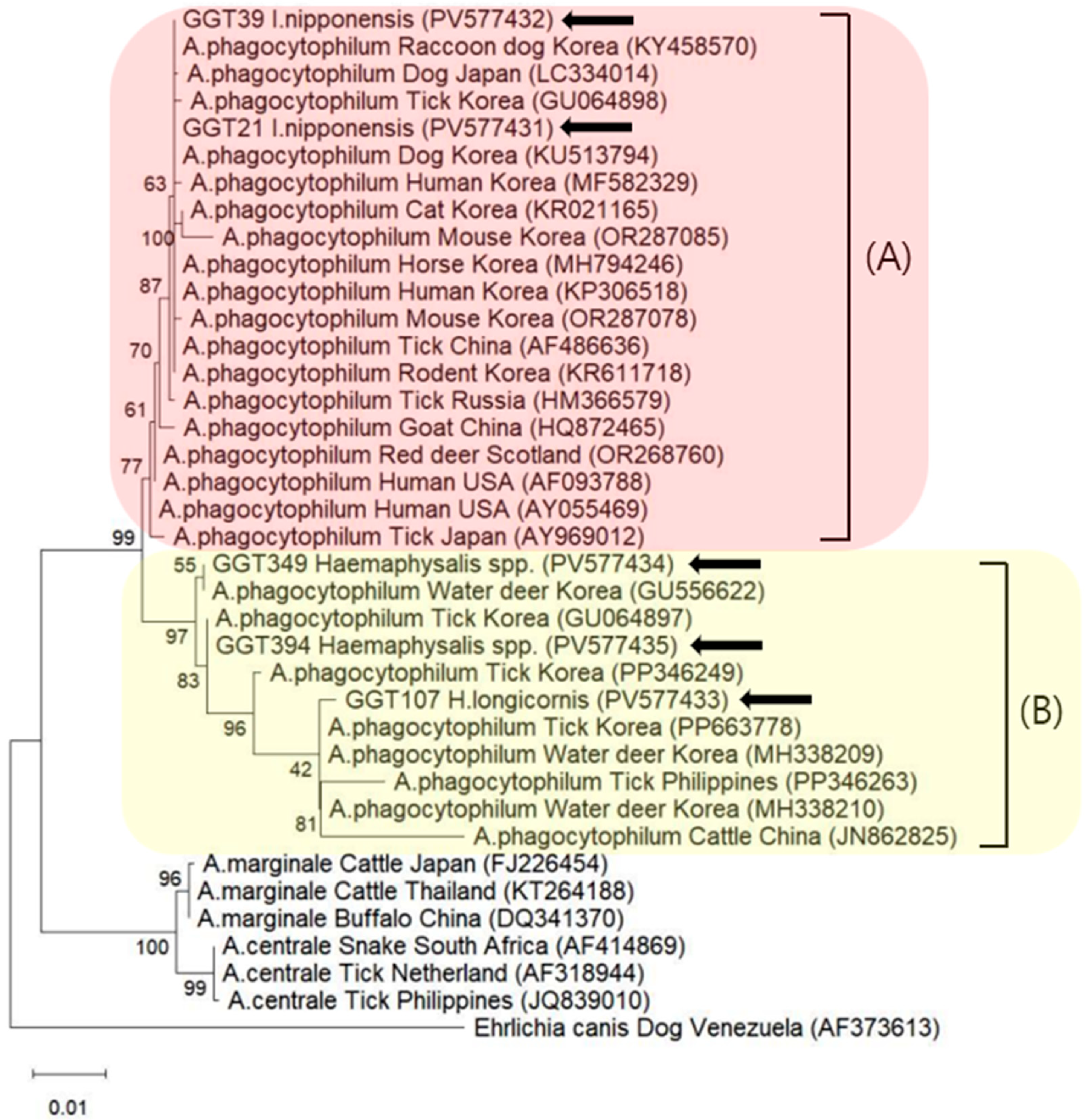 Microorganisms 13 02008 g002 Microorganisms 13 02008 g002