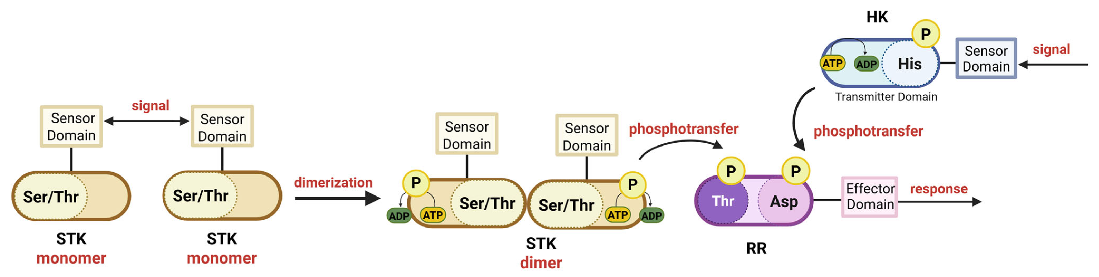 Microorganisms 13 02013 g004