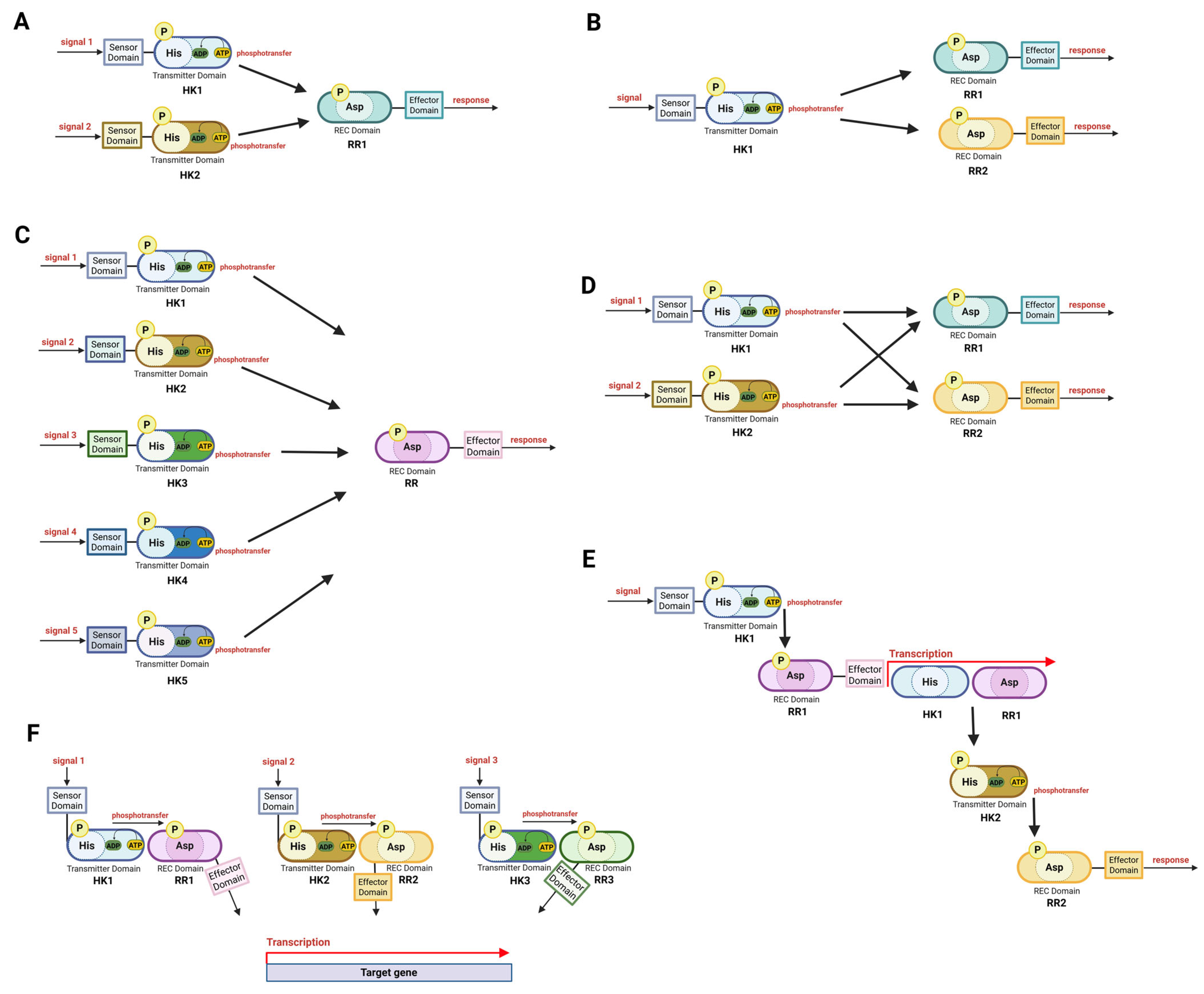 Microorganisms 13 02013 g005