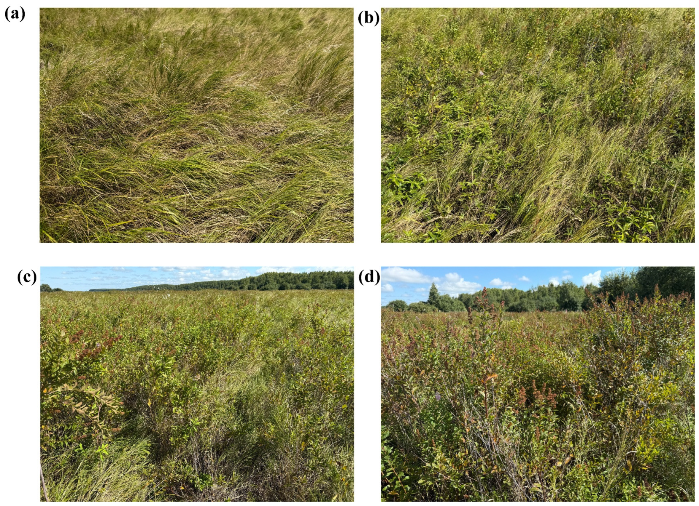 Microorganisms 13 02014 g002