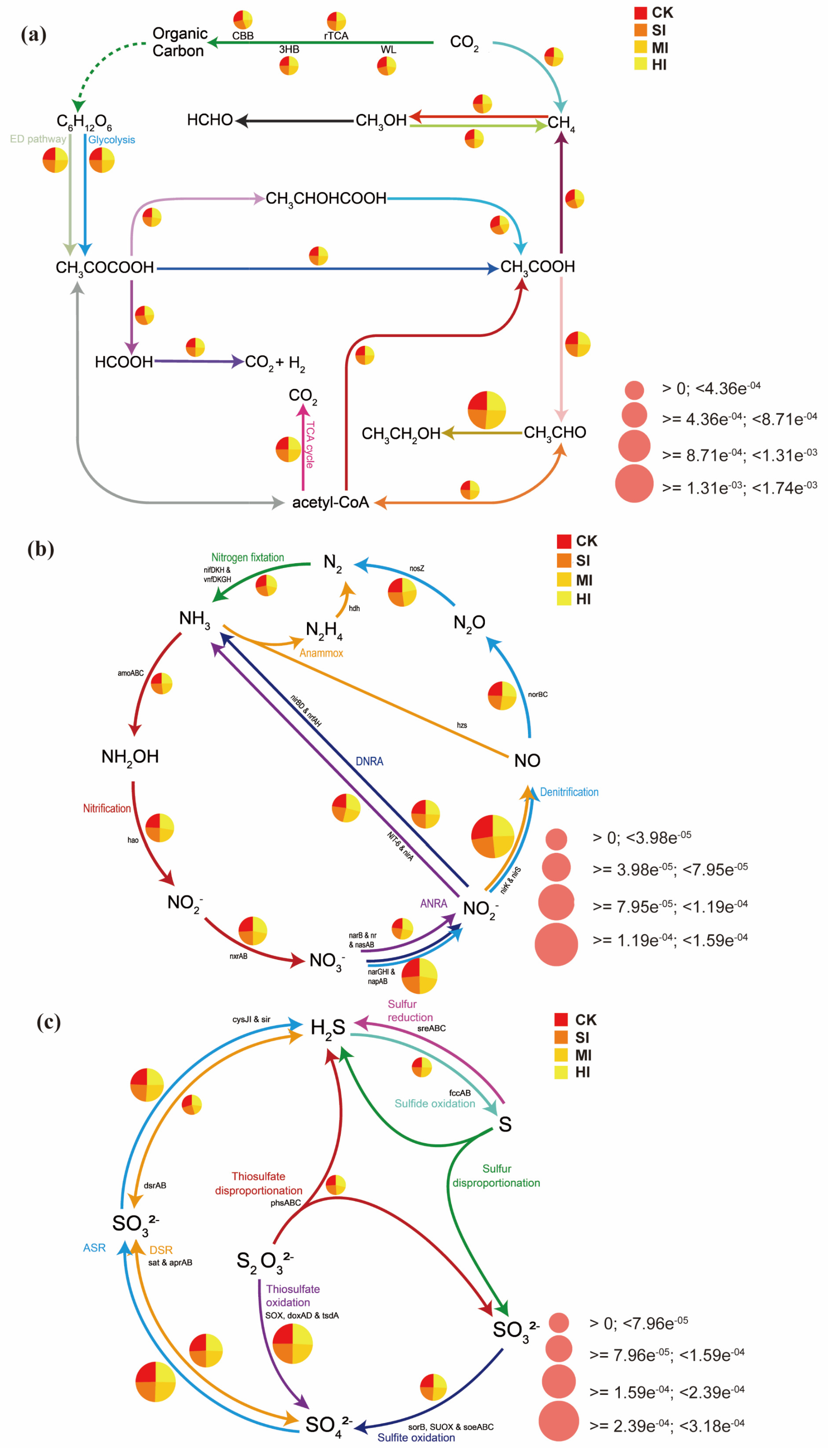 Microorganisms 13 02014 g007