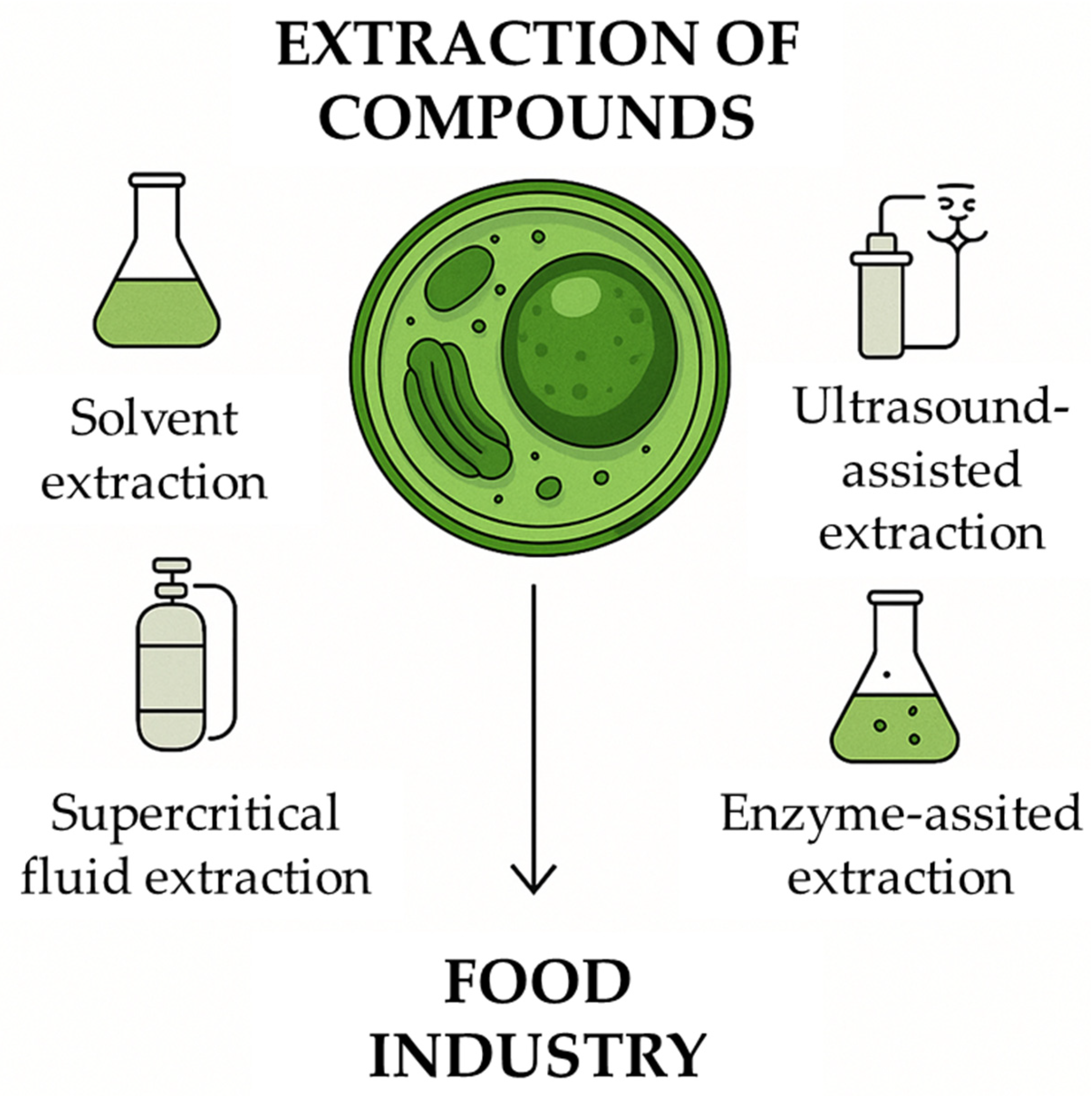 Microorganisms 13 02018 g002 Microorganisms 13 02018 g002